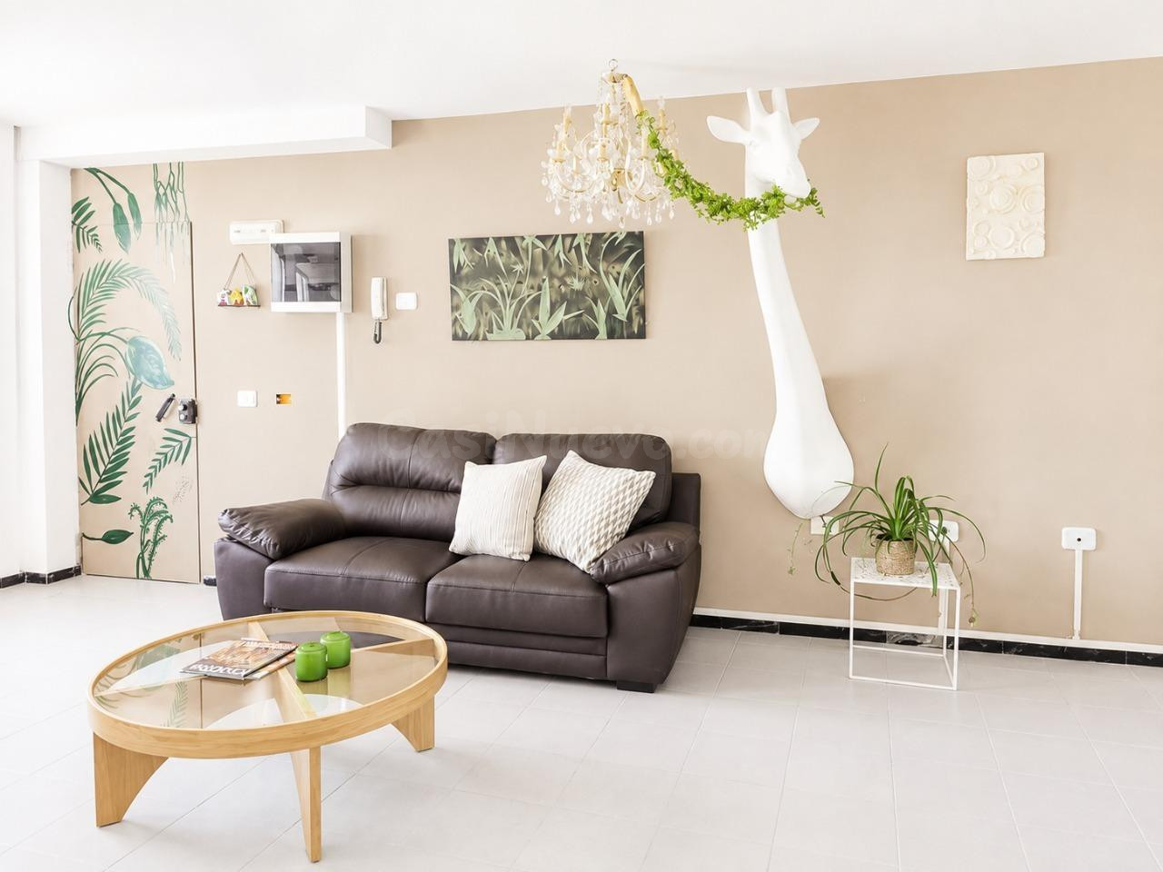 Espacio profesional de 407 m2 listo para trabajar en El Seba - foto 3