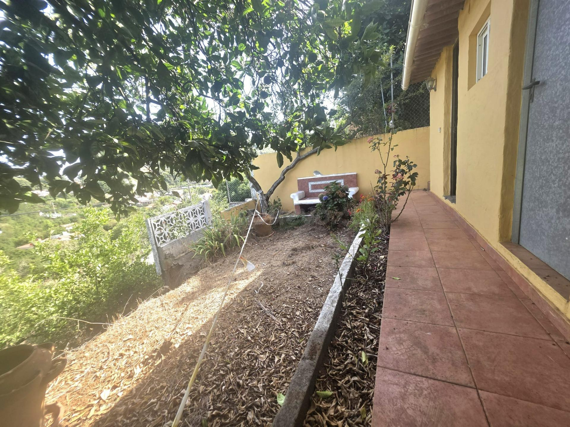 Casa terrera con dos viviendas independientes, garaje y terr - foto 5