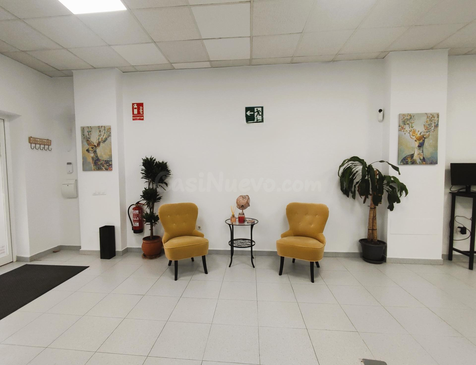 ¡¡¡¡LOCAL COMERCIAL EN AVENIDA DE MÁS DE 300 M2!!!!!! - foto 2