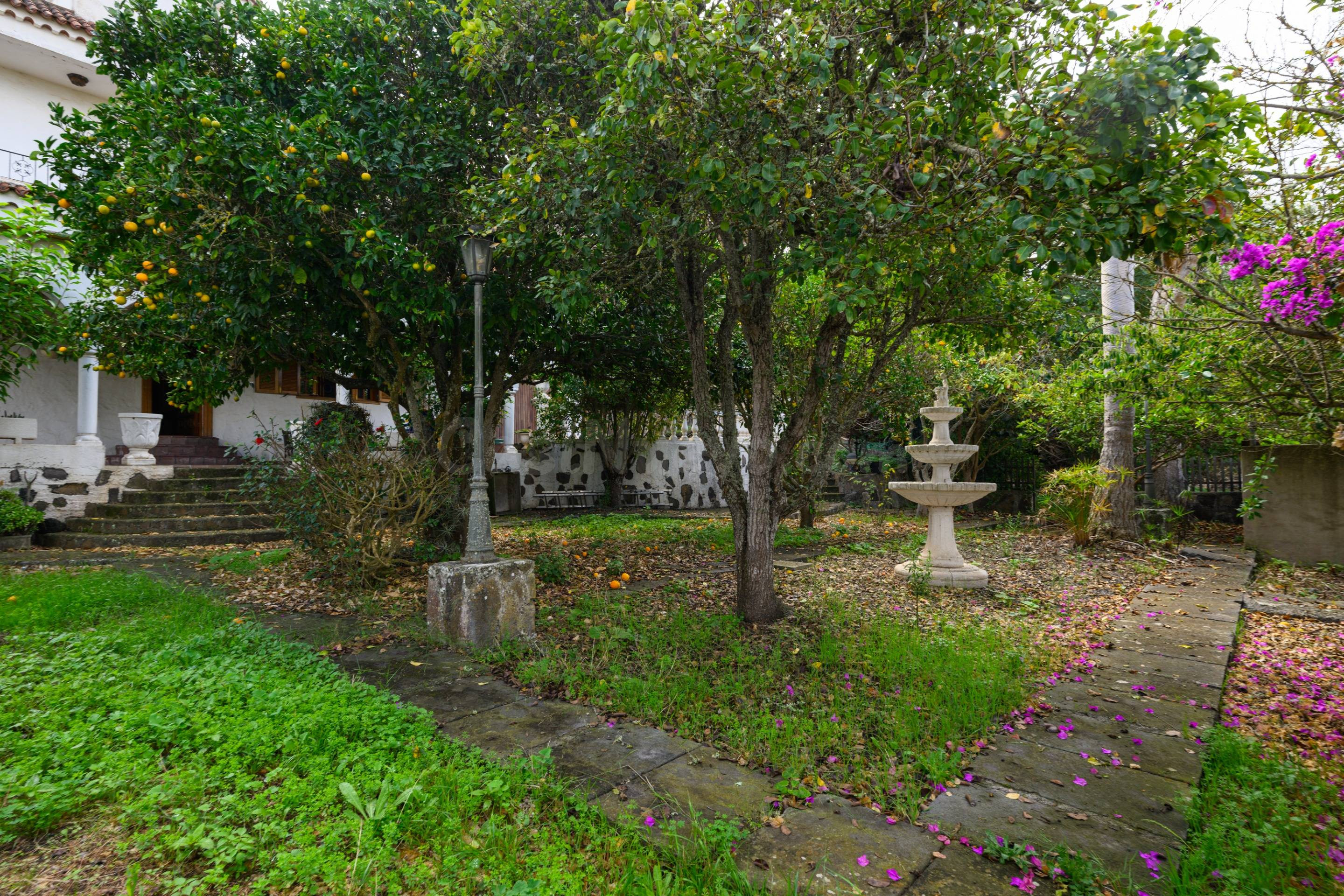 Chalet independiente en venta en Lo Blanco, junto al barrio  - foto 3