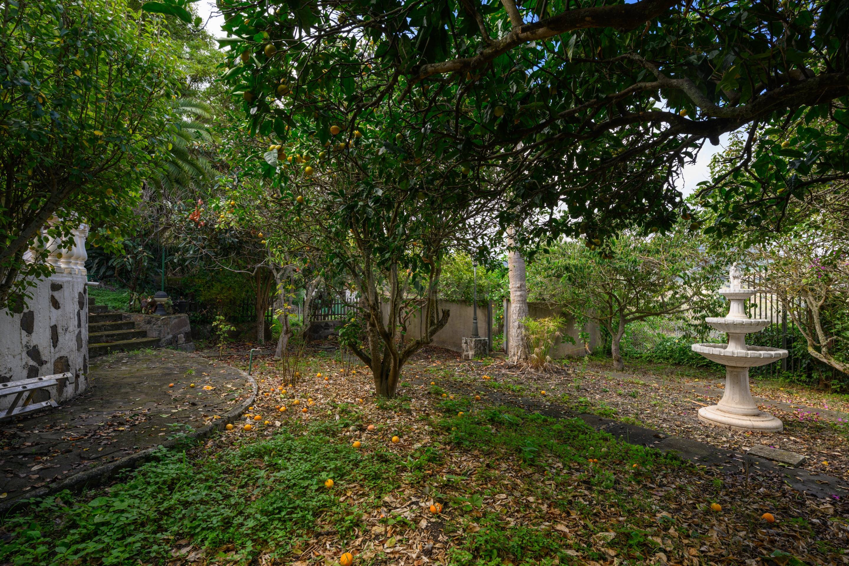 Chalet independiente en venta en Lo Blanco, junto al barrio  - foto 5