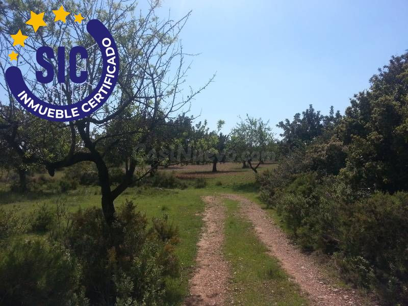 SE VENDE PARCELA EN FUENTE DE INCOLLA CHIVA - foto 2