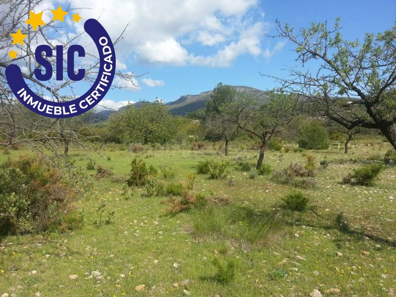 SE VENDE PARCELA EN FUENTE DE INCOLLA CHIVA - foto 3