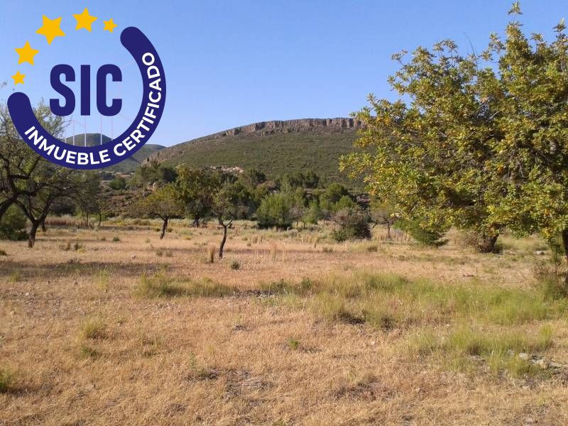 SE VENDE PARCELA EN FUENTE DE INCOLLA CHIVA - foto 4