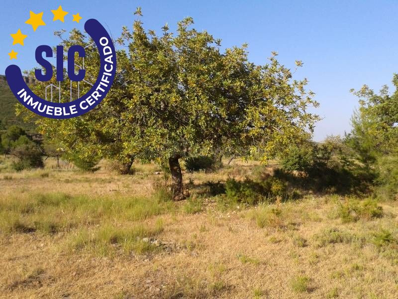SE VENDE PARCELA EN FUENTE DE INCOLLA CHIVA - foto 5