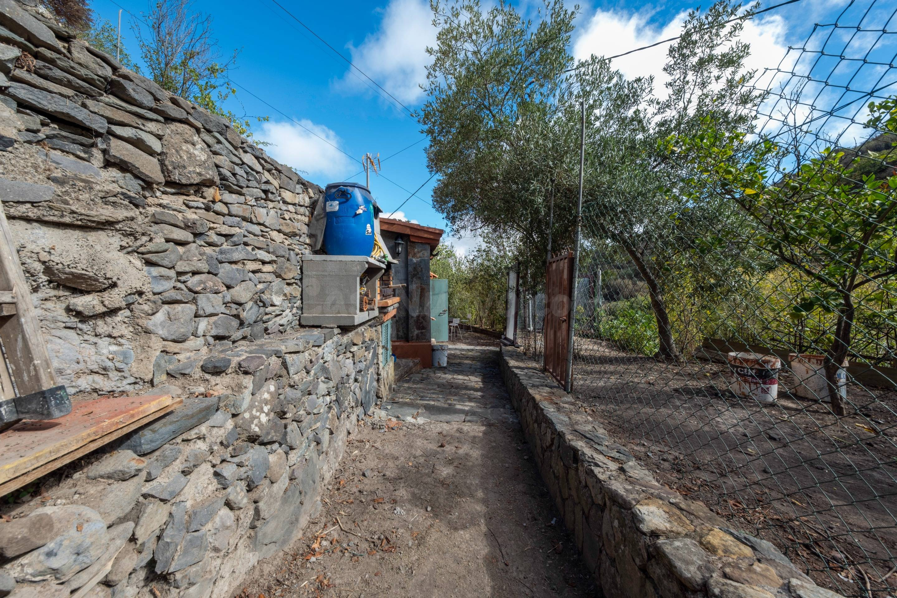 FINCA CON CASA EN VALLESECO - foto 4