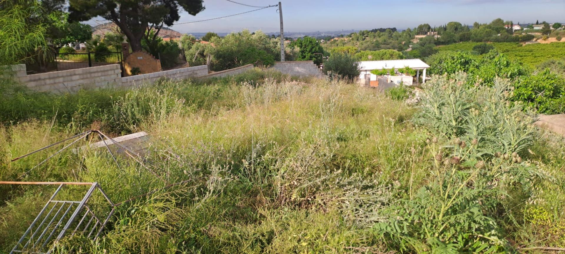TERRENO RÚSTICO EN VENTA EN CANYADA DEL CORRAL – TORRENT - foto 3