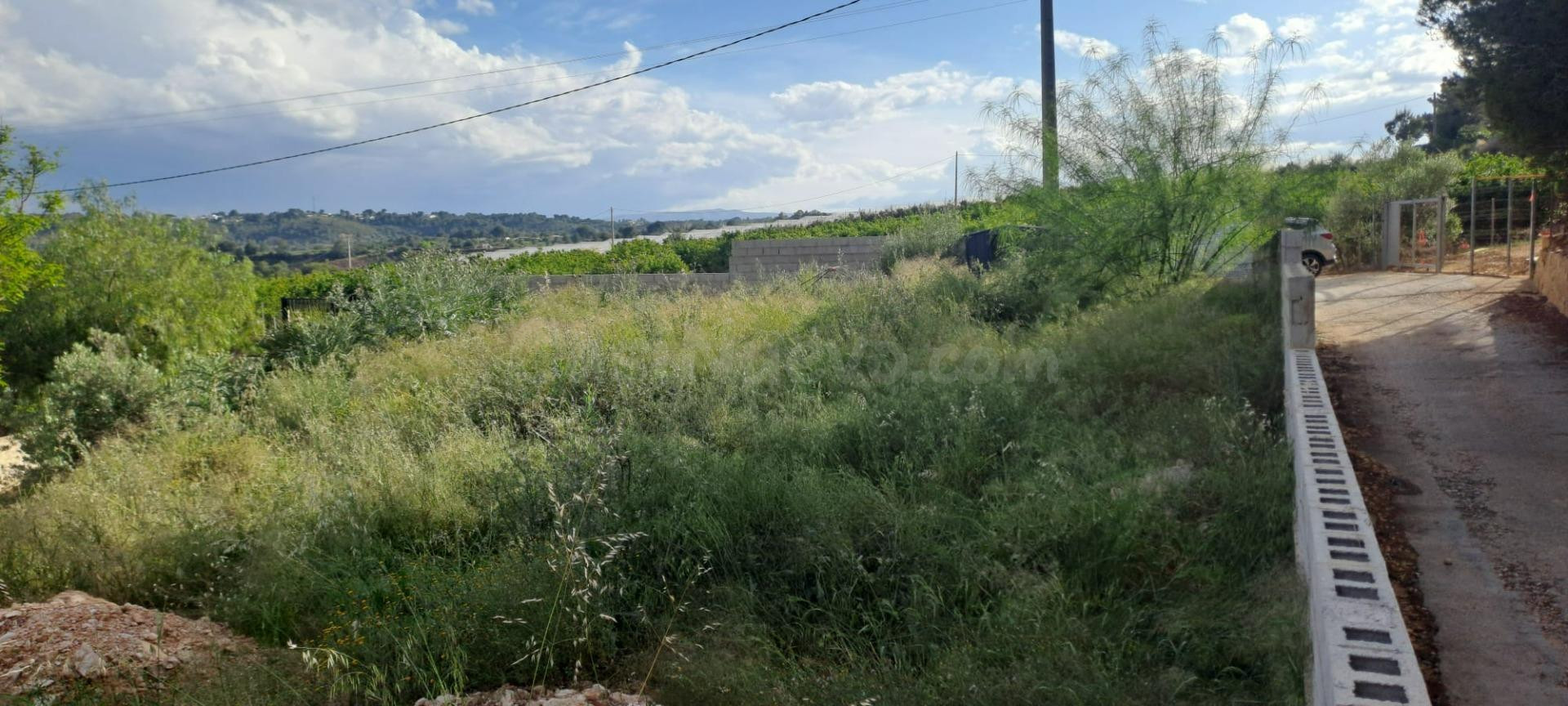 TERRENO RÚSTICO EN VENTA EN CANYADA DEL CORRAL – TORRENT - foto 5