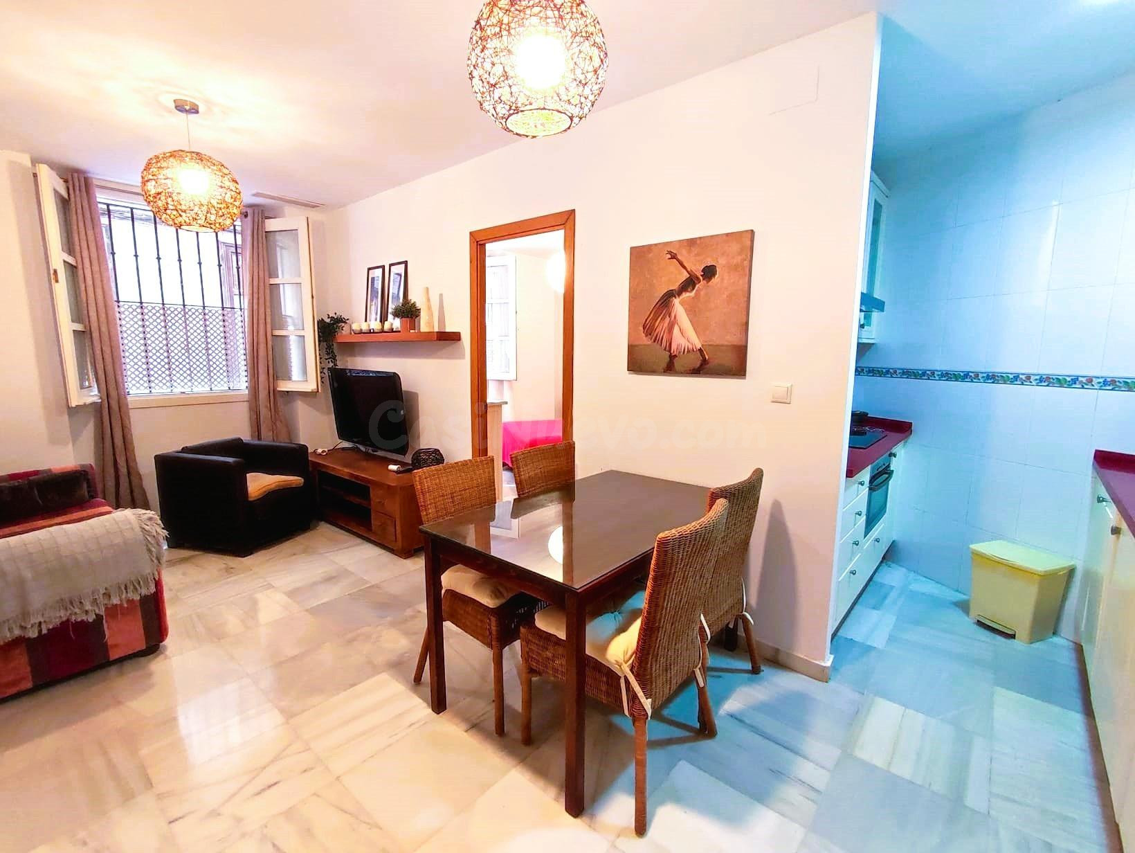 VIVIENDA EN PLANTA BAJA CENTRO DE CADIZ - foto 2