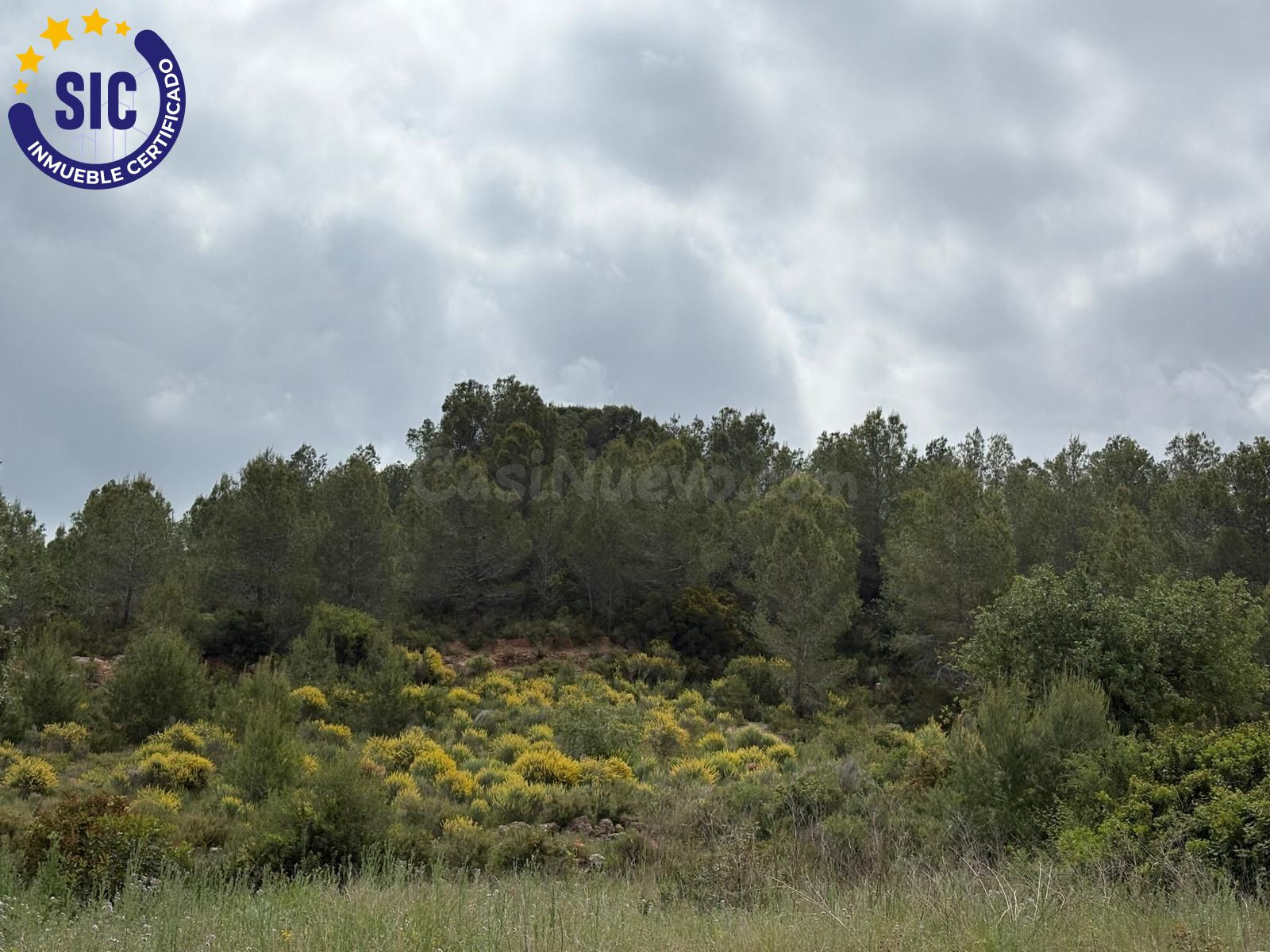 SE VENDE TERRENO RÚSTICO 6200M2 EN MONTROY - foto 2
