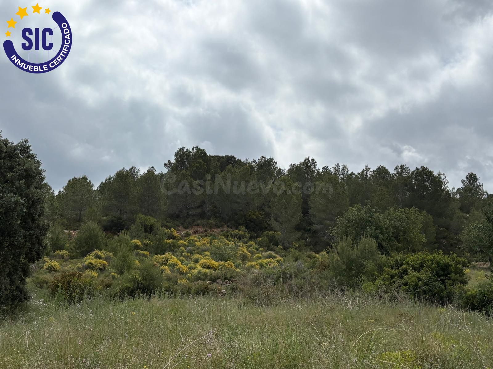 SE VENDE TERRENO RÚSTICO 6200M2 EN MONTROY - foto 5