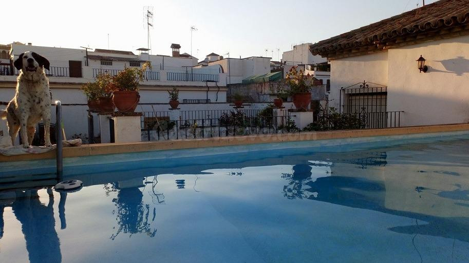 CASA INDEPENDIENTE EN CASCO HISTÓRICO, DE CÓRDOBA