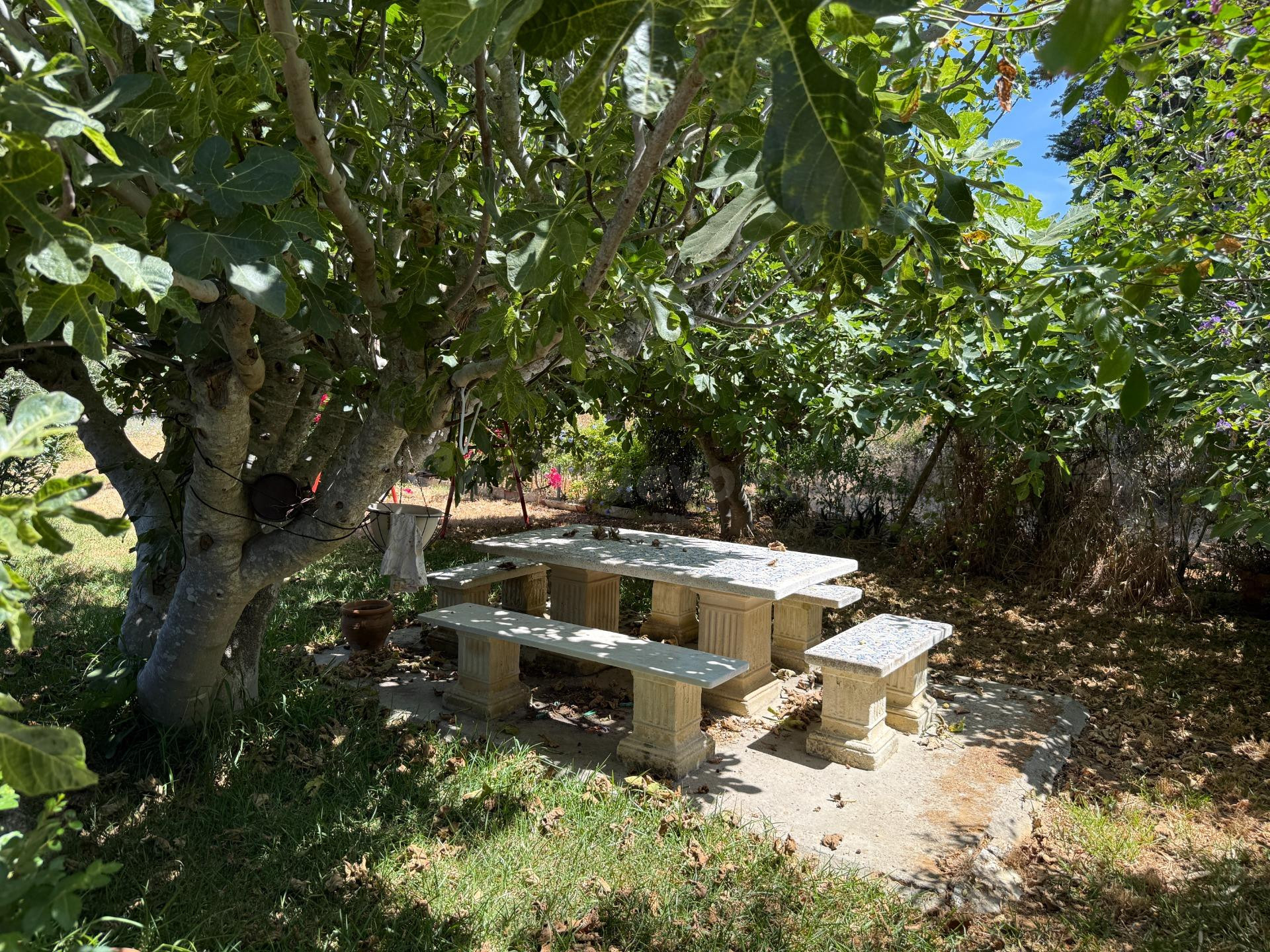 ¡Piscina, merendero y cocina exterior! Encantador chalet con - foto 4