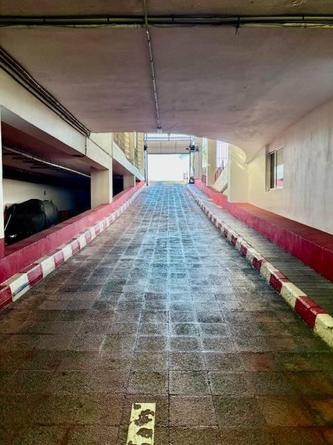 ALMACEN EN LAS PALMAS - foto 4