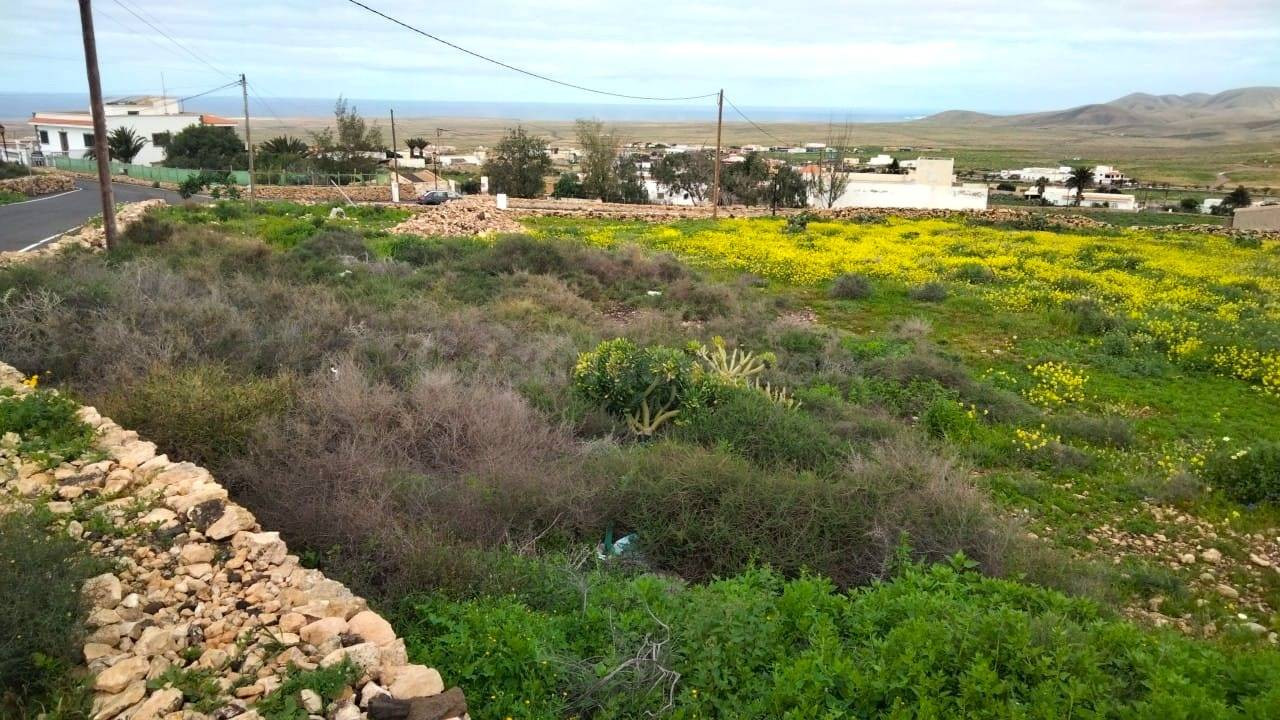 Parcela en venta en Tindaya de 1.823 m2 - foto 4