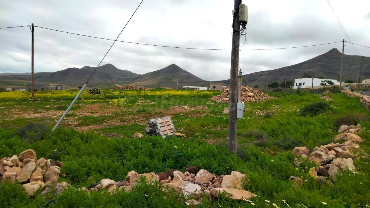 Parcela en venta en Tindaya de 1.823 m2 - foto 5