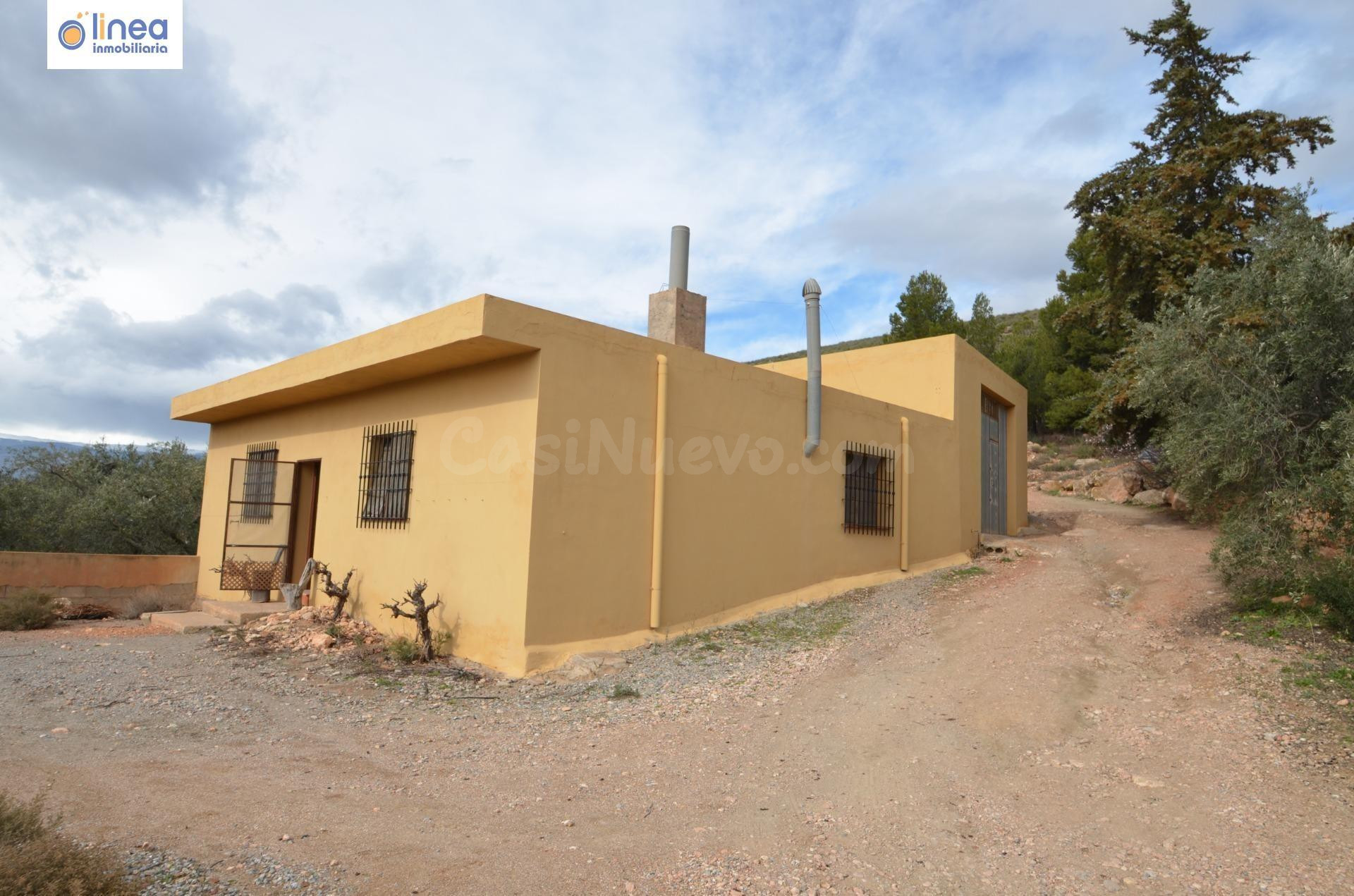 VENDEMOS FINCA DE OLIVOS CON CORTIJO RURAL EN ALCOLEA (ALMER