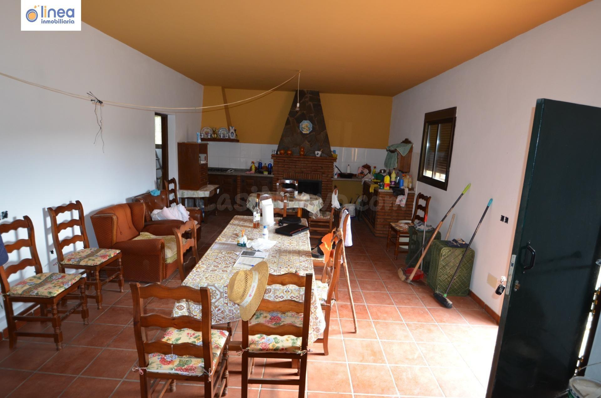 VENDEMOS FINCA DE OLIVOS CON CORTIJO RURAL EN ALCOLEA (ALMER - foto 2