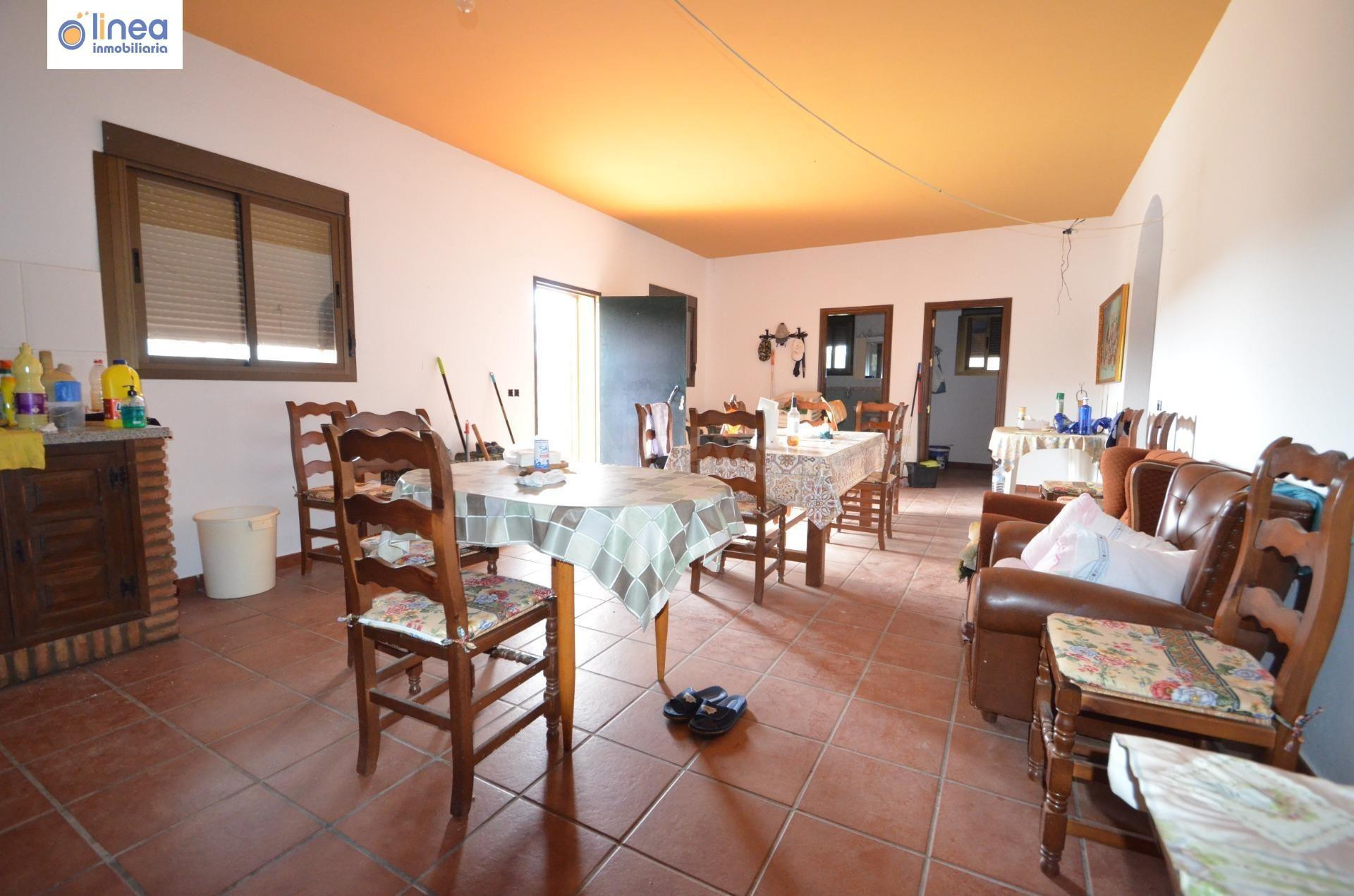 VENDEMOS FINCA DE OLIVOS CON CORTIJO RURAL EN ALCOLEA (ALMER - foto 3