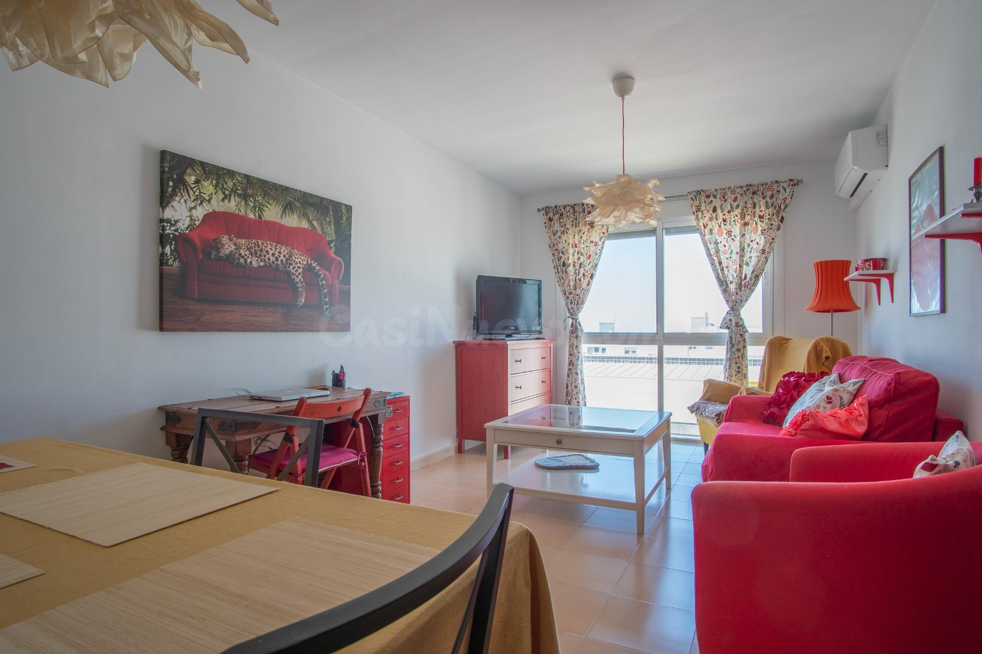 Luminosa vivienda con espectacular solárium de 60m2, garaje  - foto 2