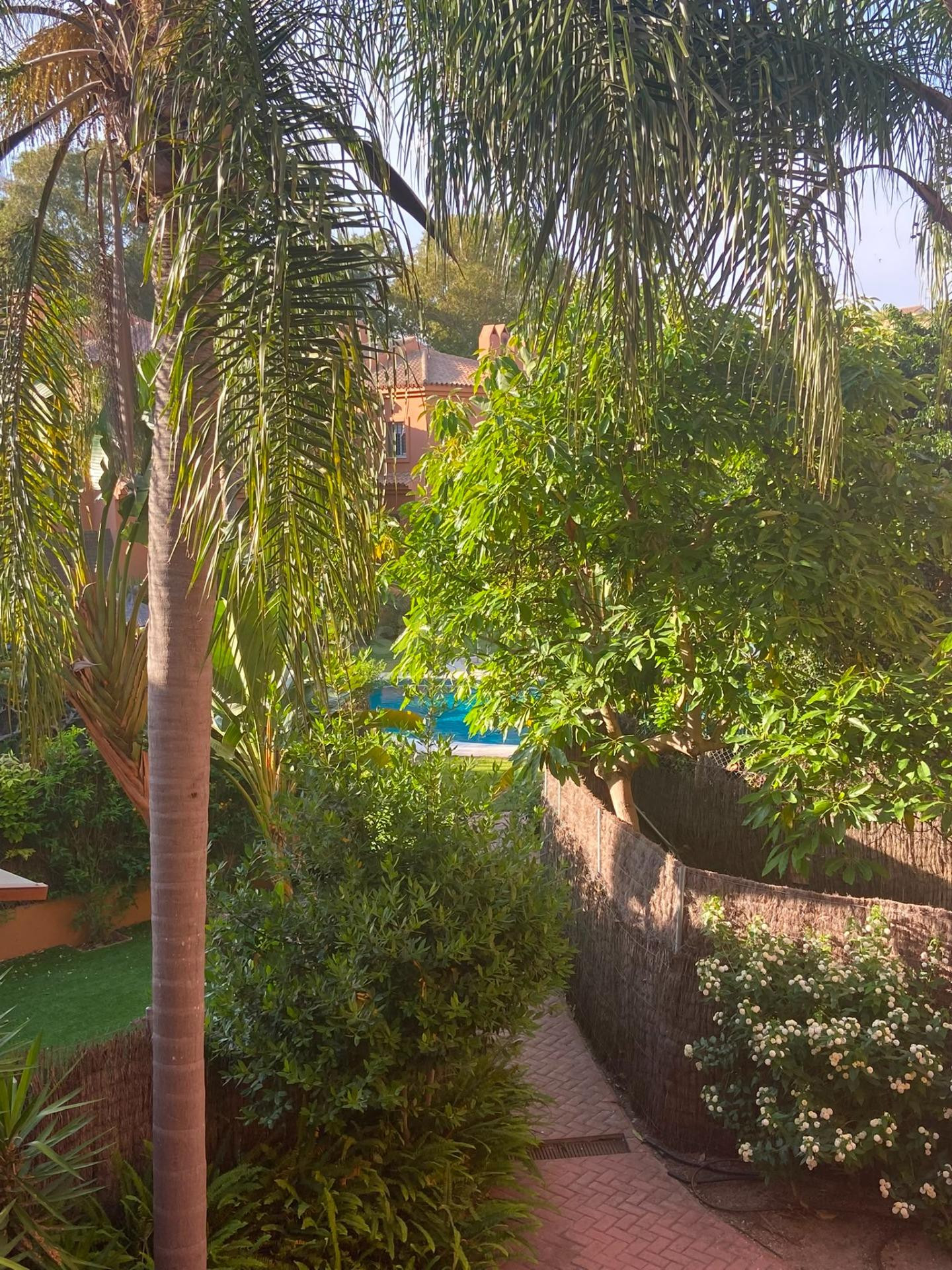 Tu Nuevo Hogar a 300 Metros de la Playa. Alquiler para Larga - foto 2