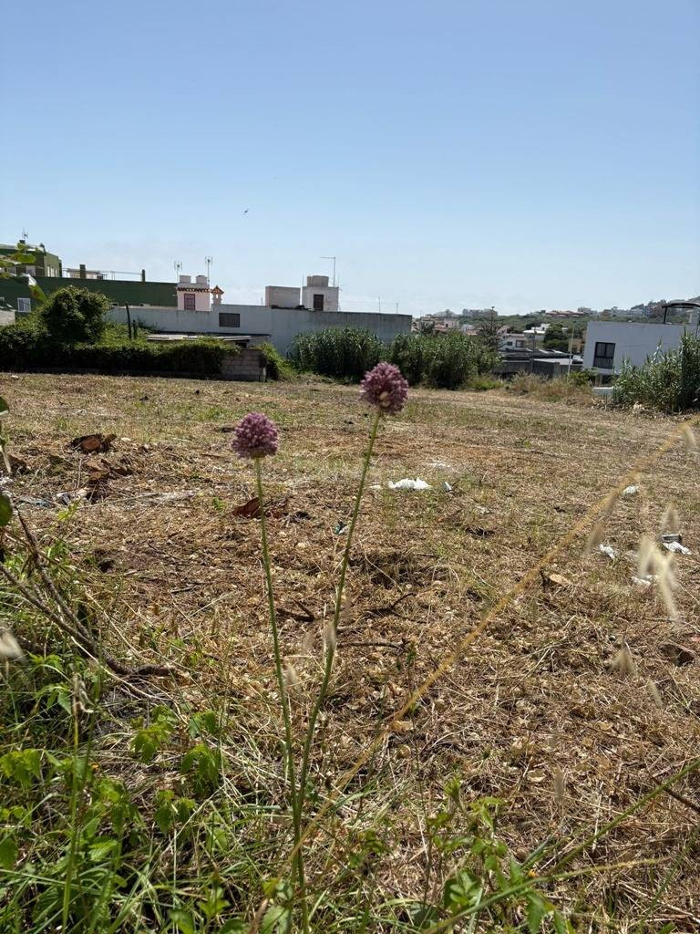 Terreno en el centro de Moya, entre las calle Unamuno y Cerv - foto 4
