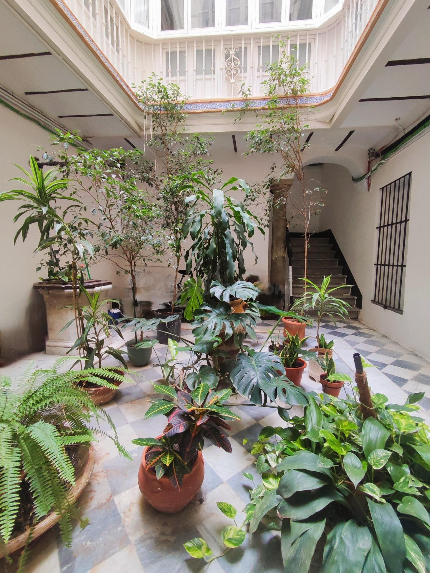 Exclusivo Piso Reformado en el Corazón de Cádiz - foto 5