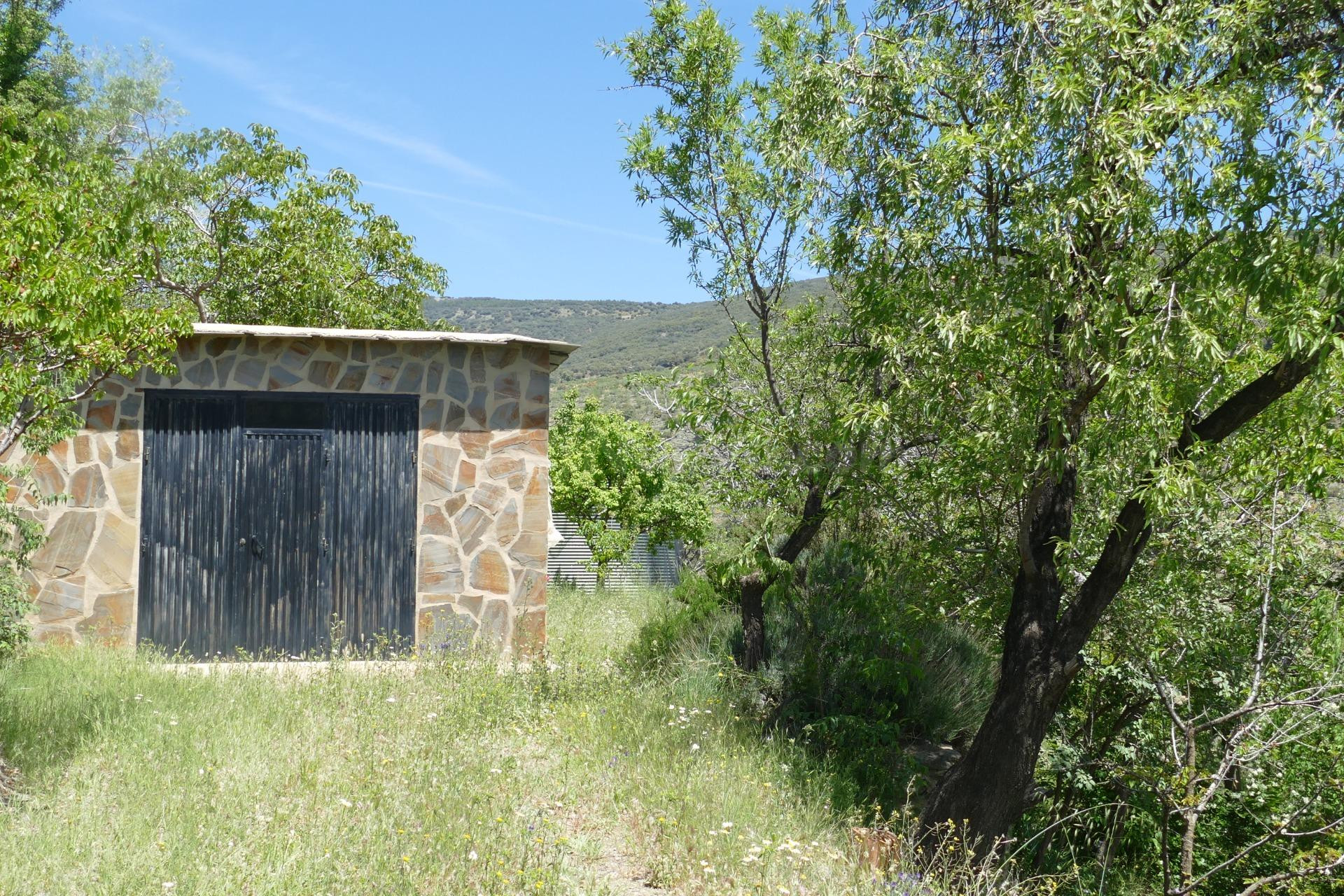Finca de 7000m2