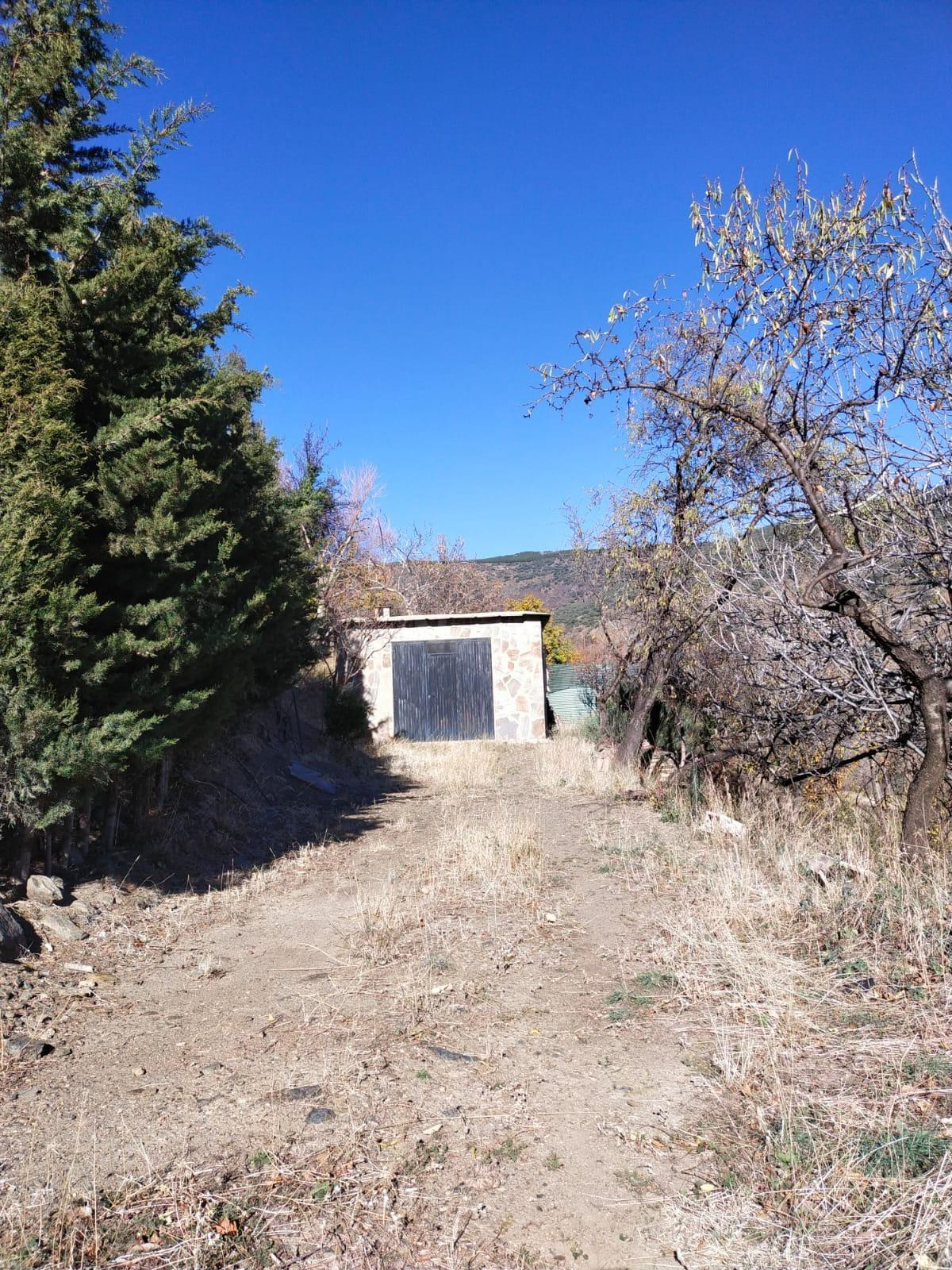 Finca de 7000m2 - foto 2
