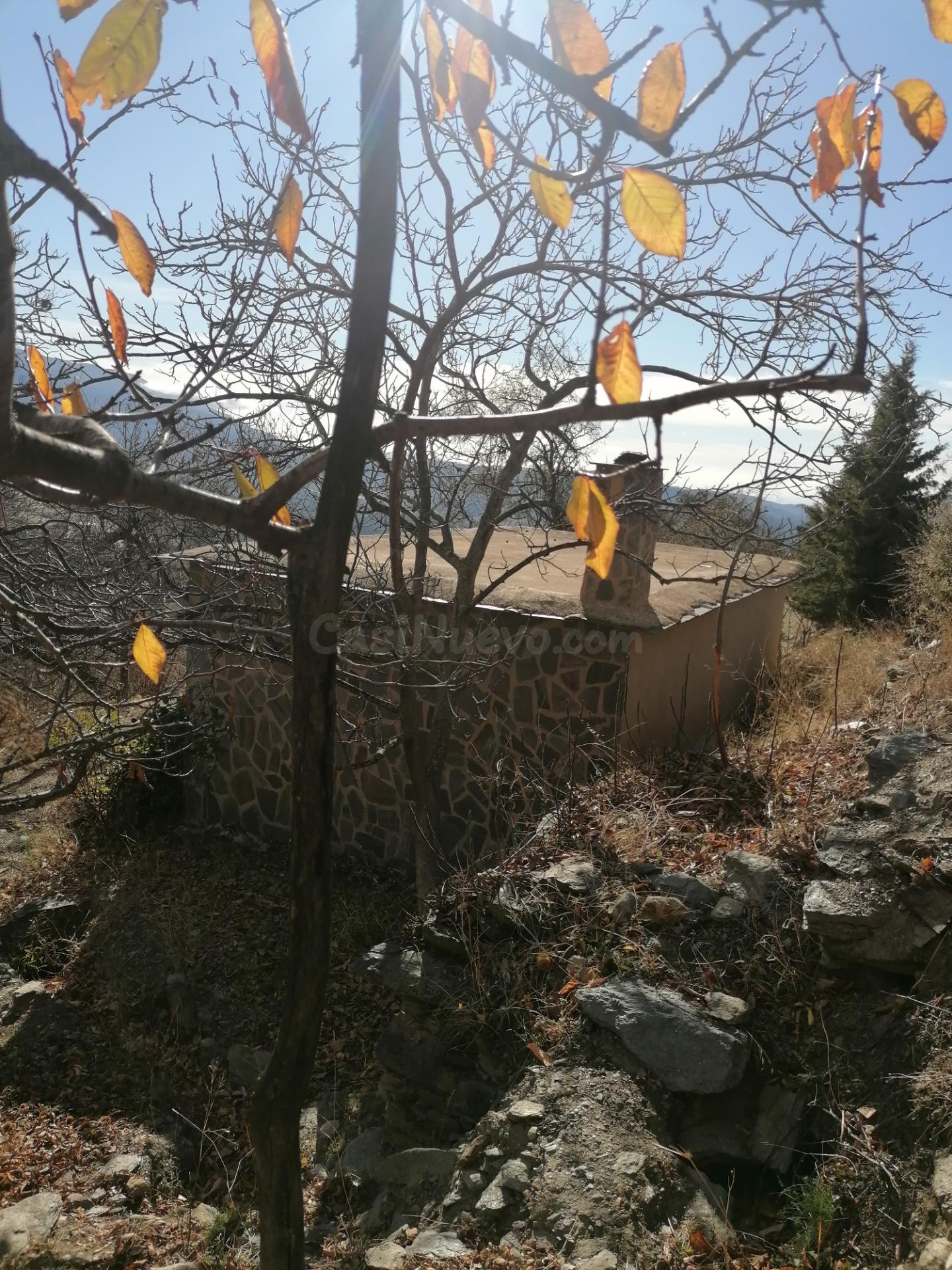 Finca de 7000m2 - foto 5