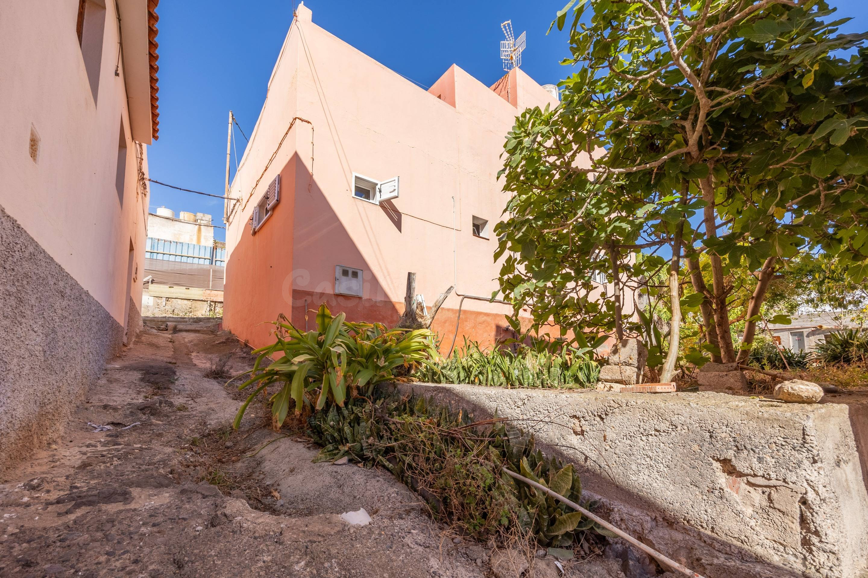 CASA TERRERA CON DOBLE ENTRADA MAS TERRENO - foto 3