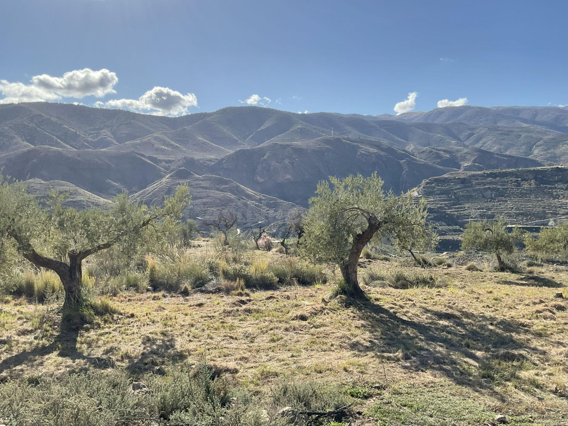 Exclusiva Finca Rústica en Padules (Almería) - foto 2
