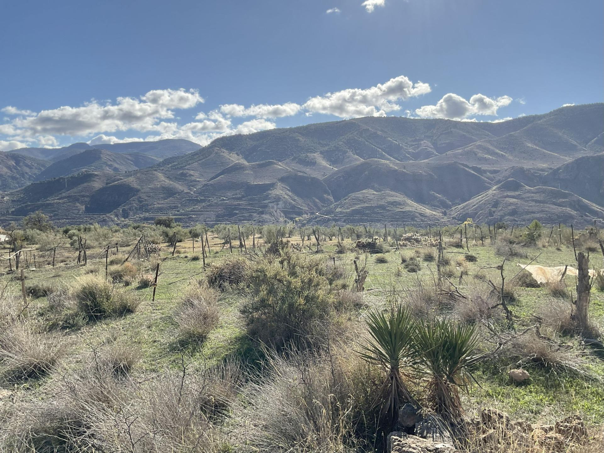 Exclusiva Finca Rústica en Padules (Almería) - foto 4