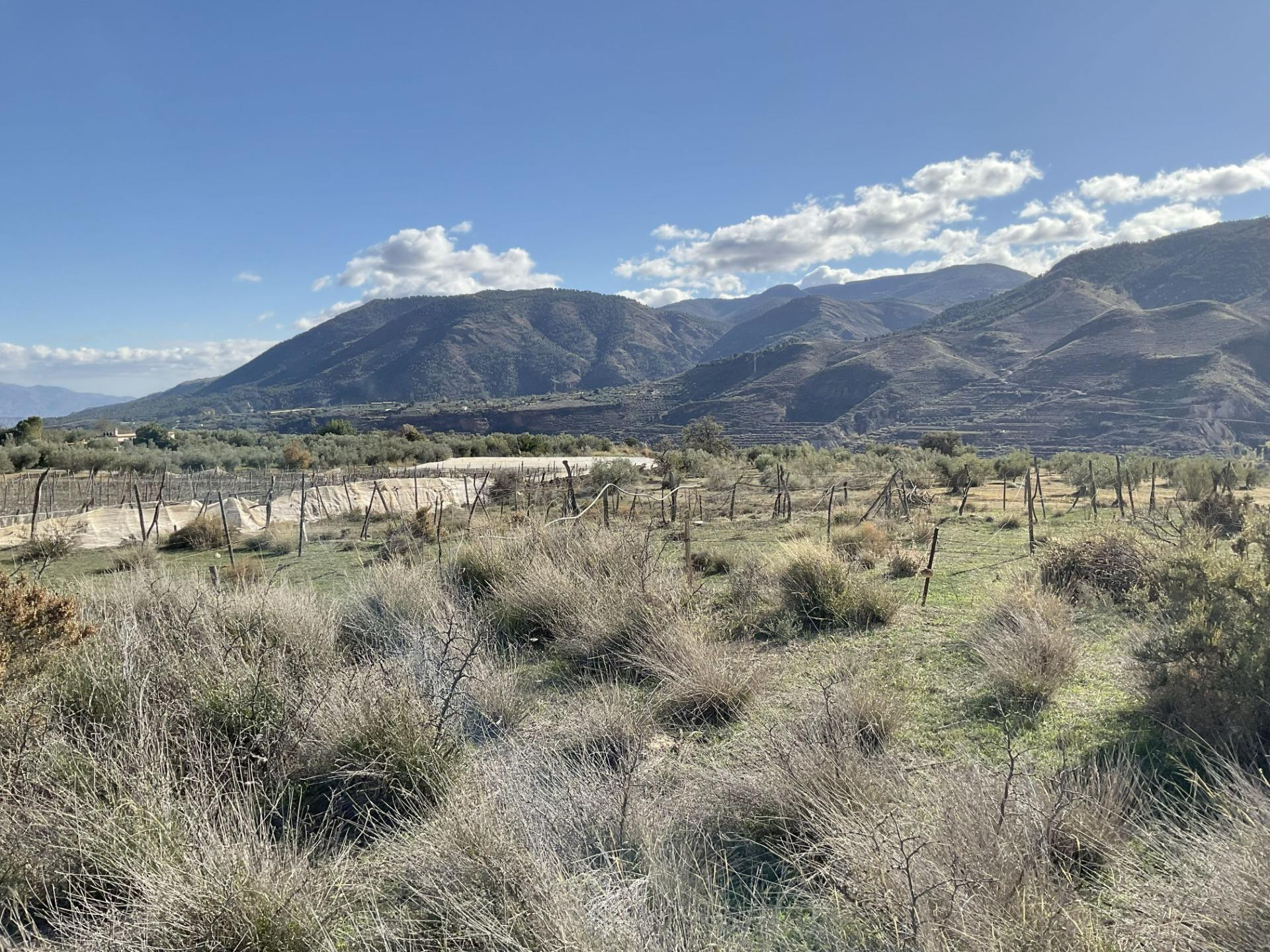 Exclusiva Finca Rústica en Padules (Almería) - foto 5