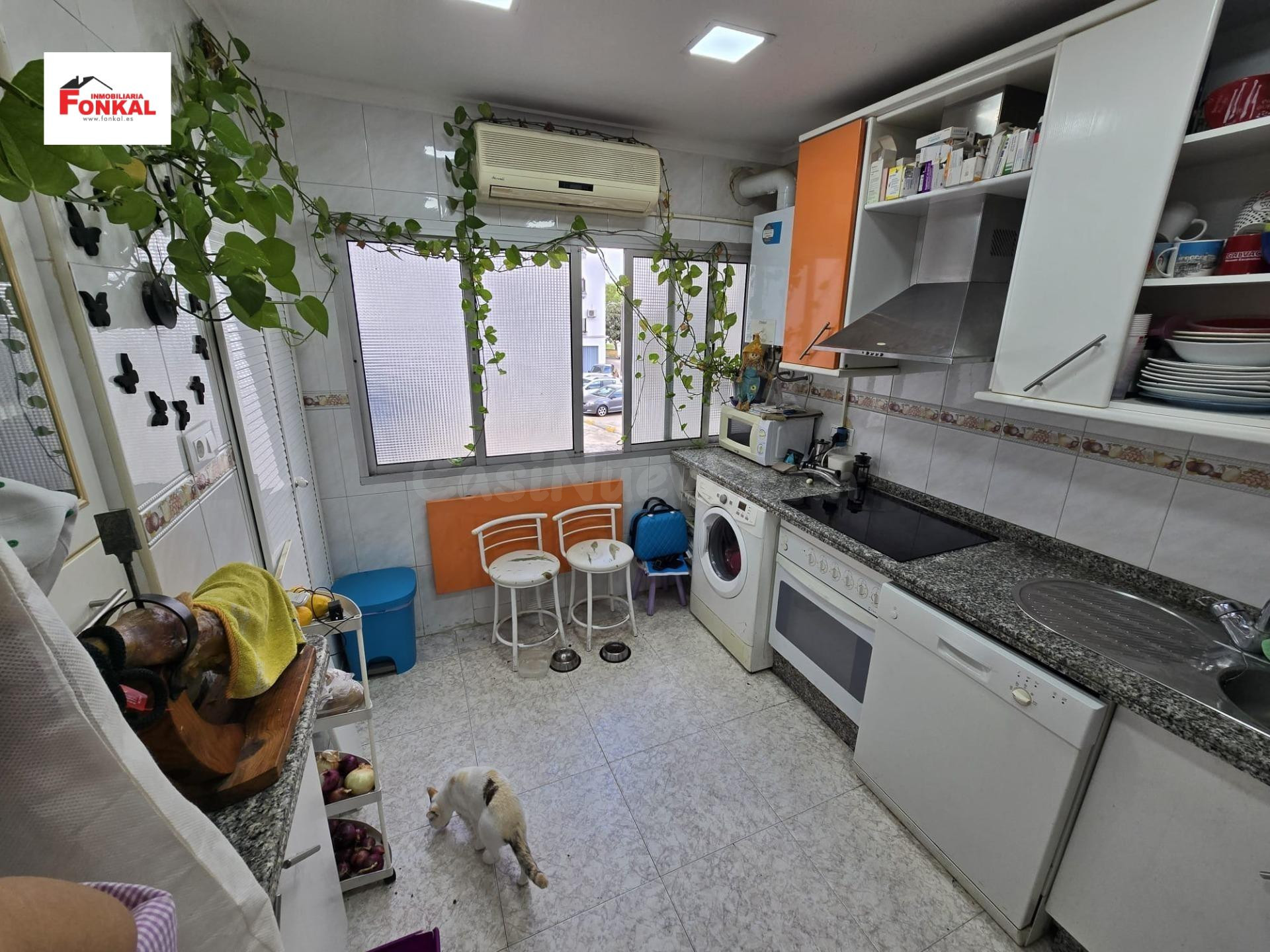 AMPLIO PISO EN ZONA DELICIAS - foto 2