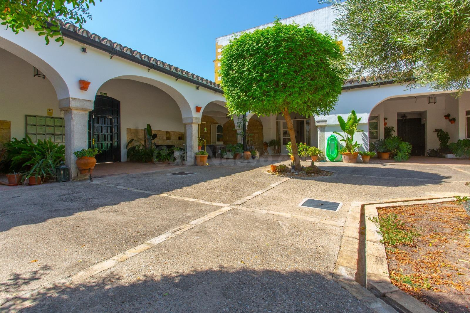 ESPECTACULAR LOFT EN CASCO DE BODEGA REHABILITADO EN EL CENTRO DE JEREZ - foto 2