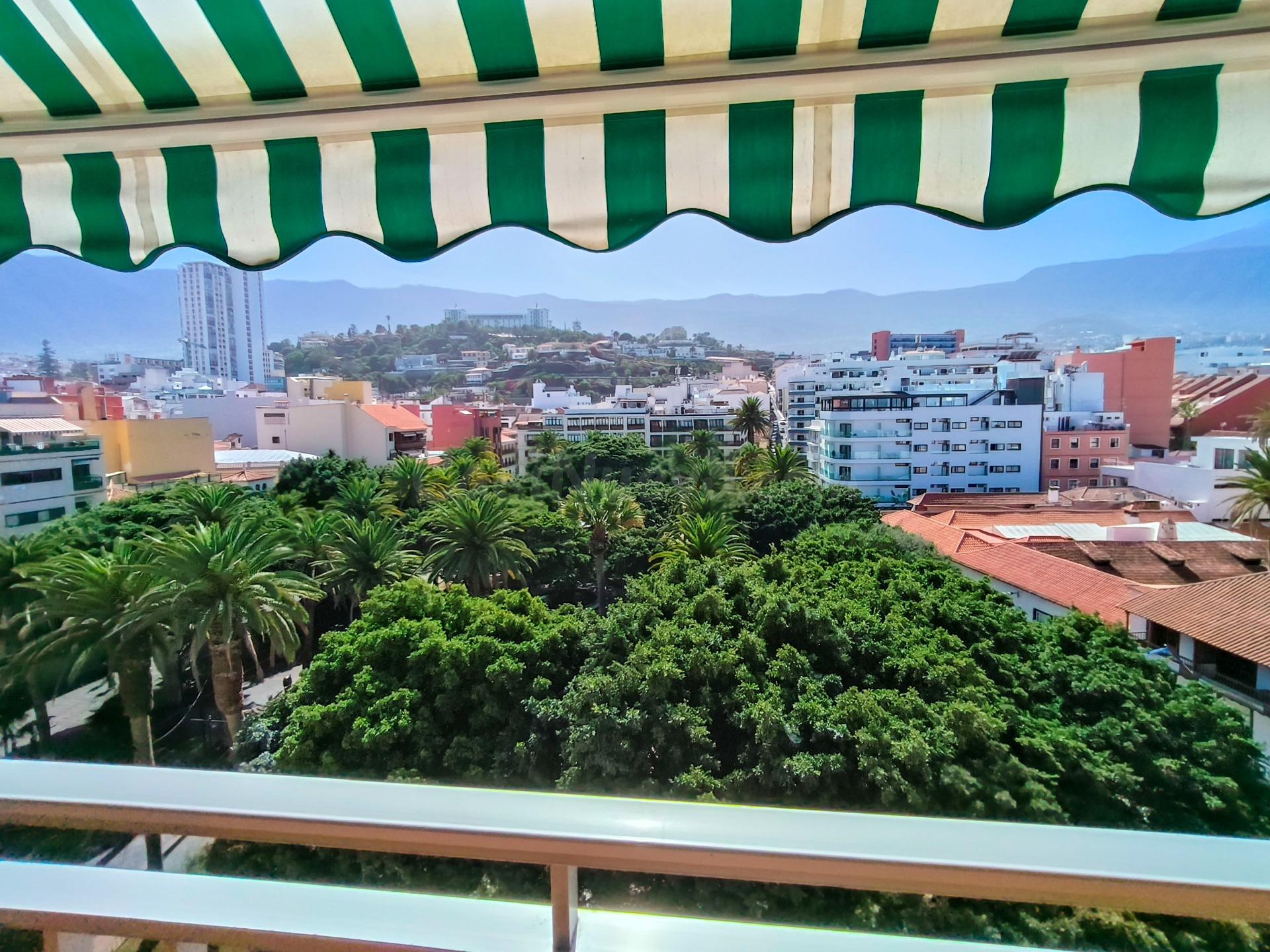 Estudio con terraza y vistas al Teide · Puerto de la Cruz