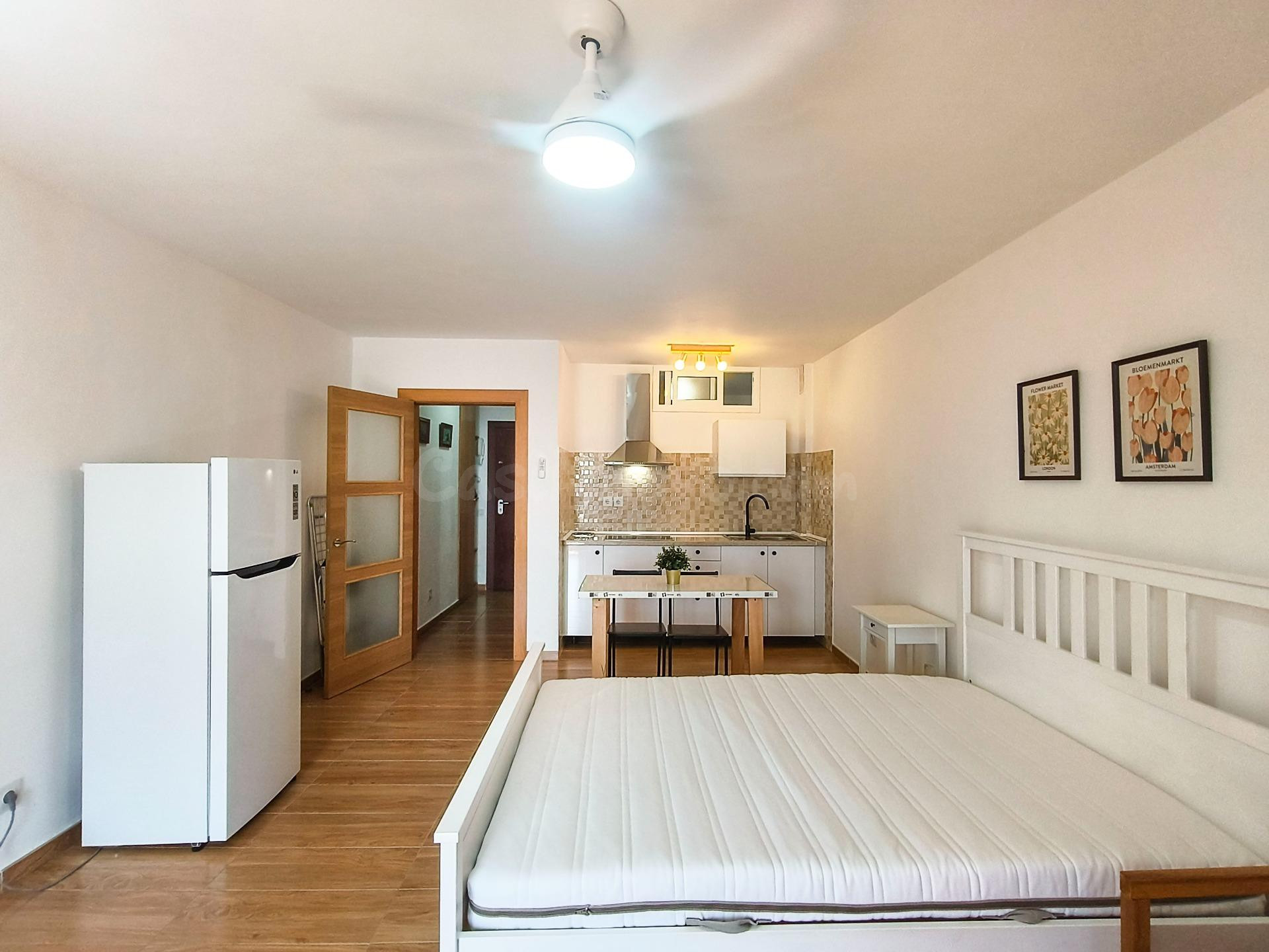 Estudio luminoso con terraza y vistas al Teide · Puerto de l - foto 3