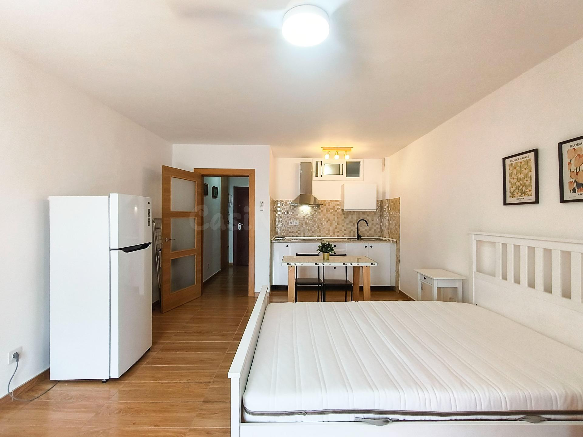 Estudio luminoso con terraza y vistas al Teide · Puerto de l - foto 5