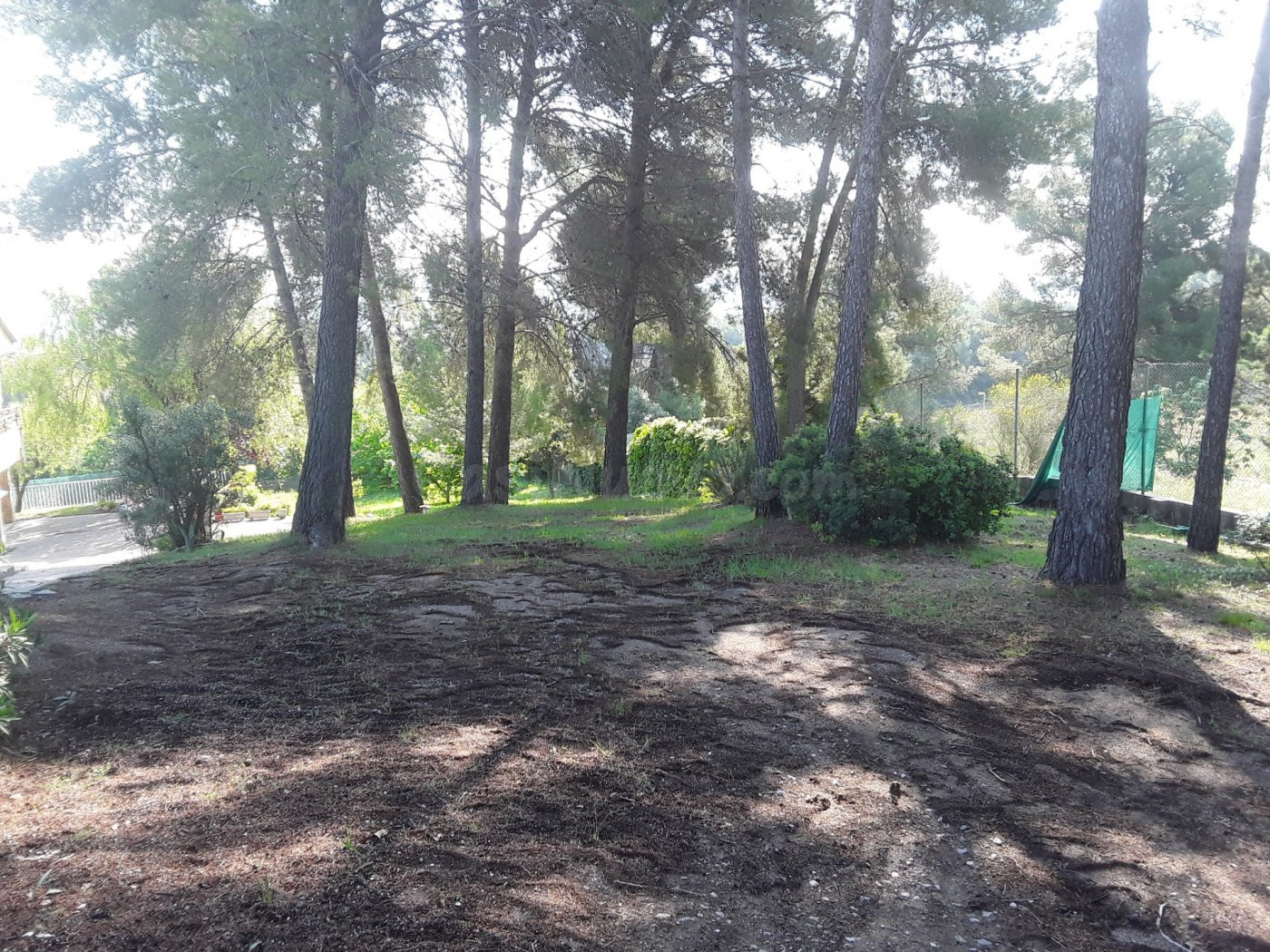 OPORTUNIDAD TERRENO EN CA N'AMAT - foto 2