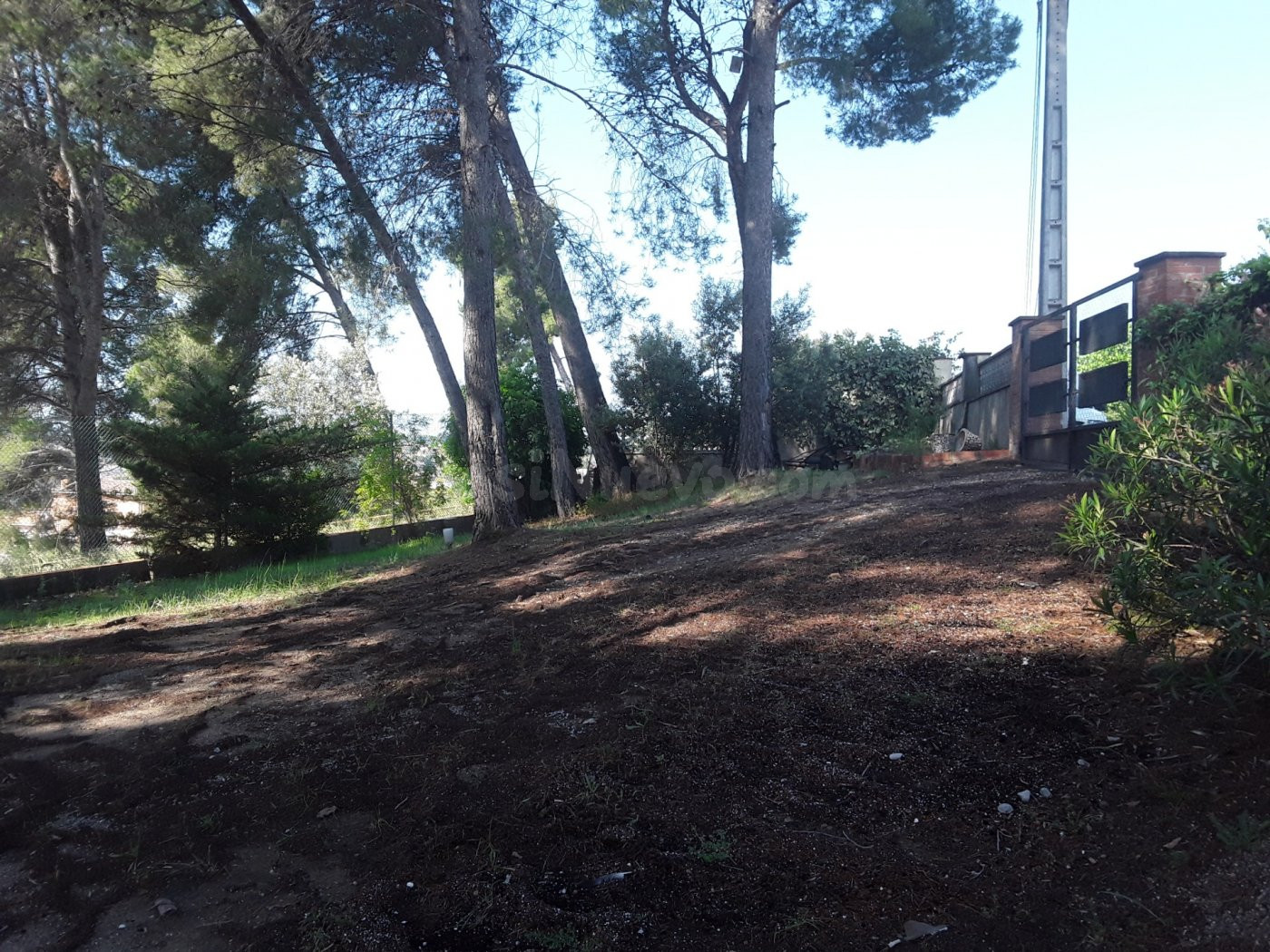 OPORTUNIDAD TERRENO EN CA N'AMAT - foto 3