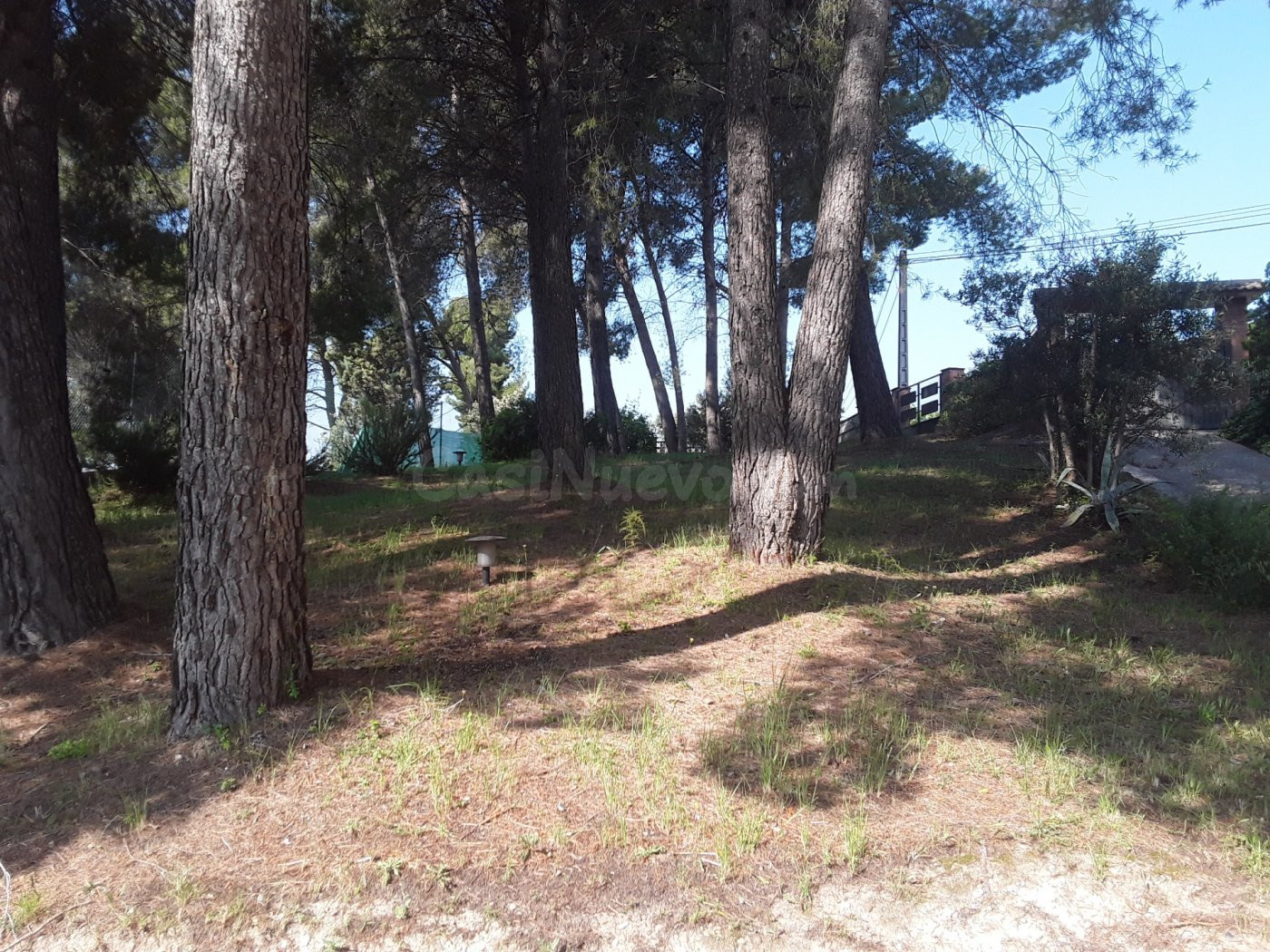 OPORTUNIDAD TERRENO EN CA N'AMAT - foto 4
