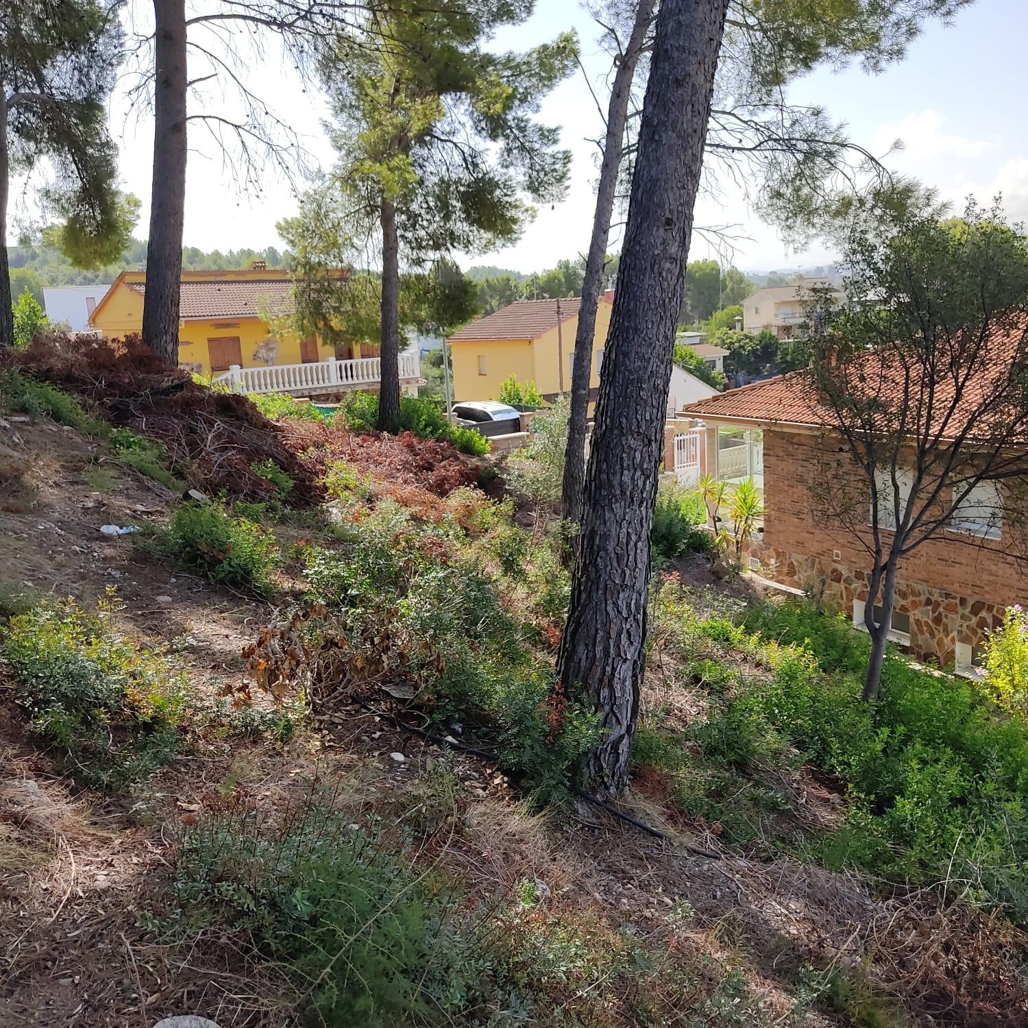 Terreno en Can Villalba - foto 2