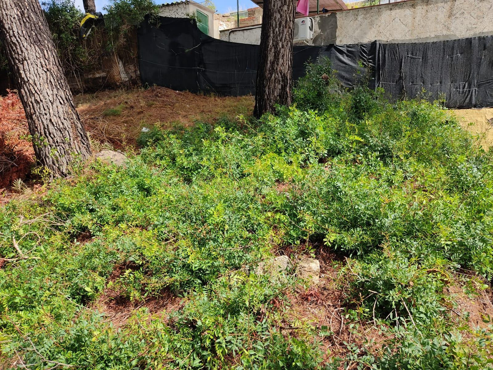 Terreno en Can Villalba - foto 3