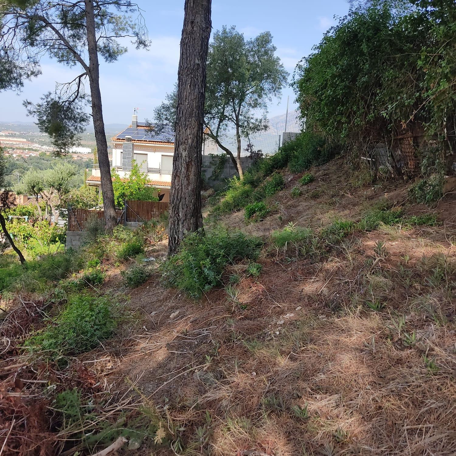 Terreno en Can Villalba - foto 5