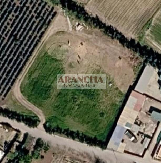 Parcela rústica de 5.000 m2 en venta, Chipiona