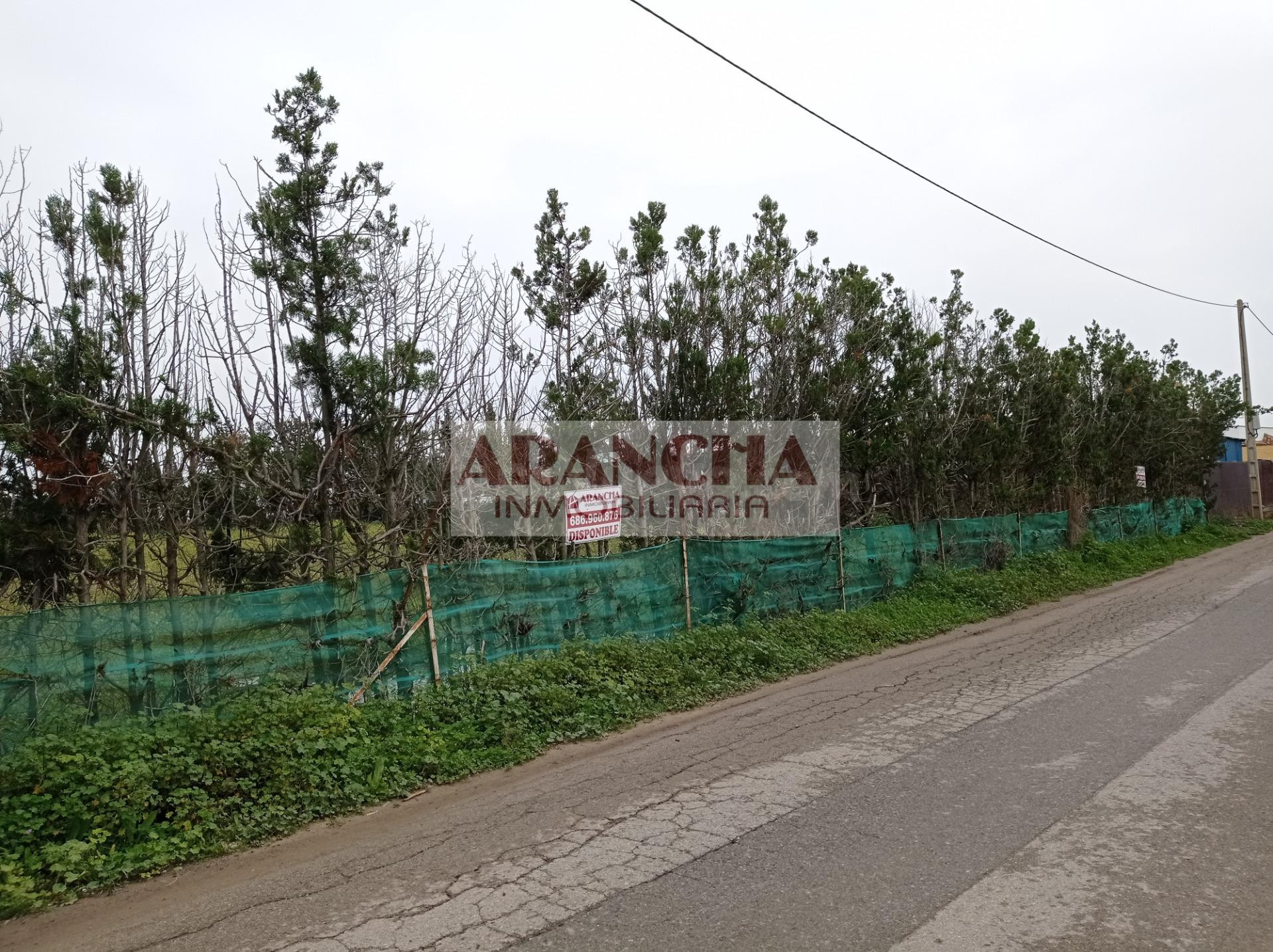 Parcela rústica de 5.000 m2 en venta, Chipiona - foto 2