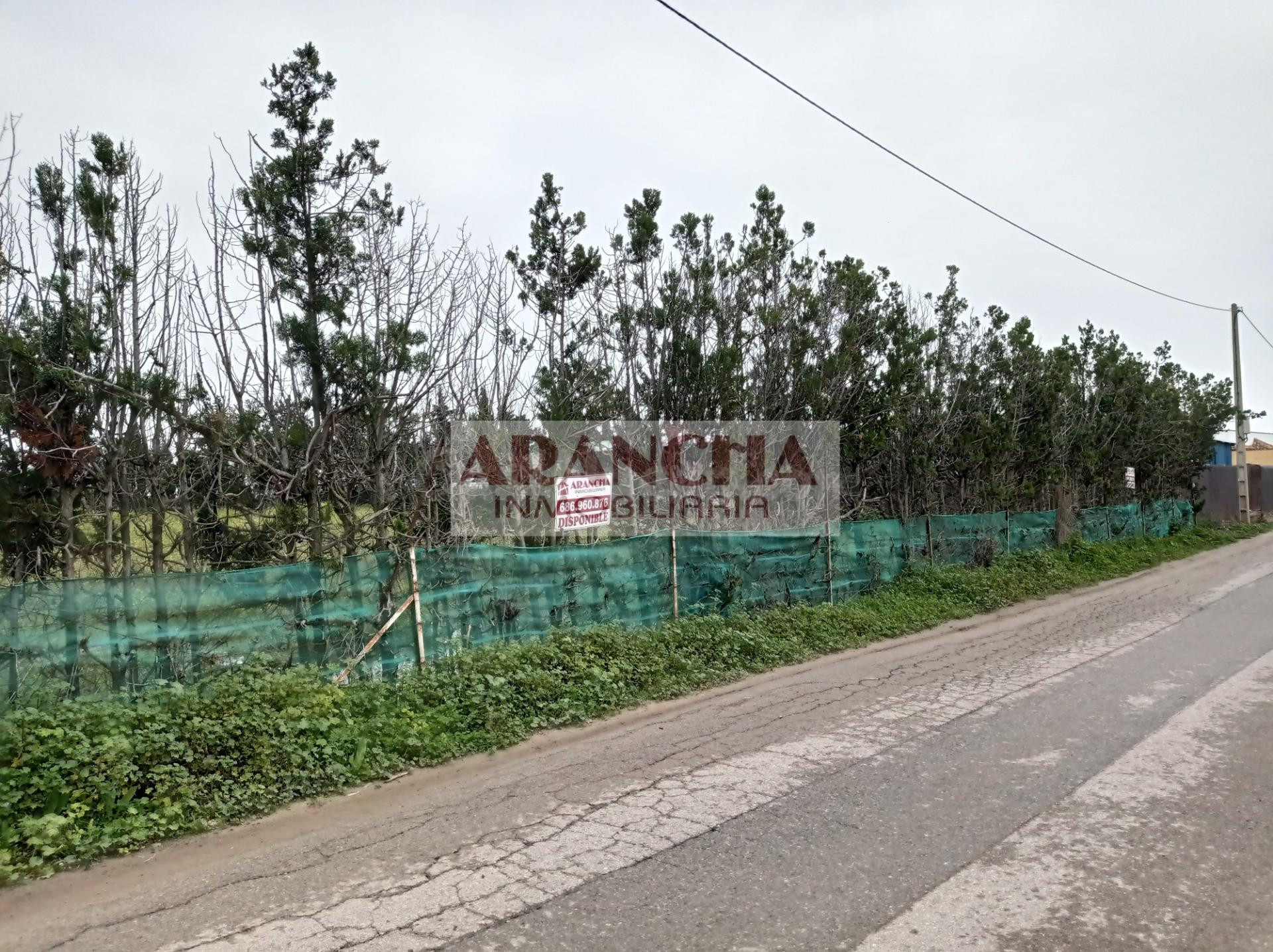 Parcela rústica de 5.000 m2 en venta, Chipiona - foto 3