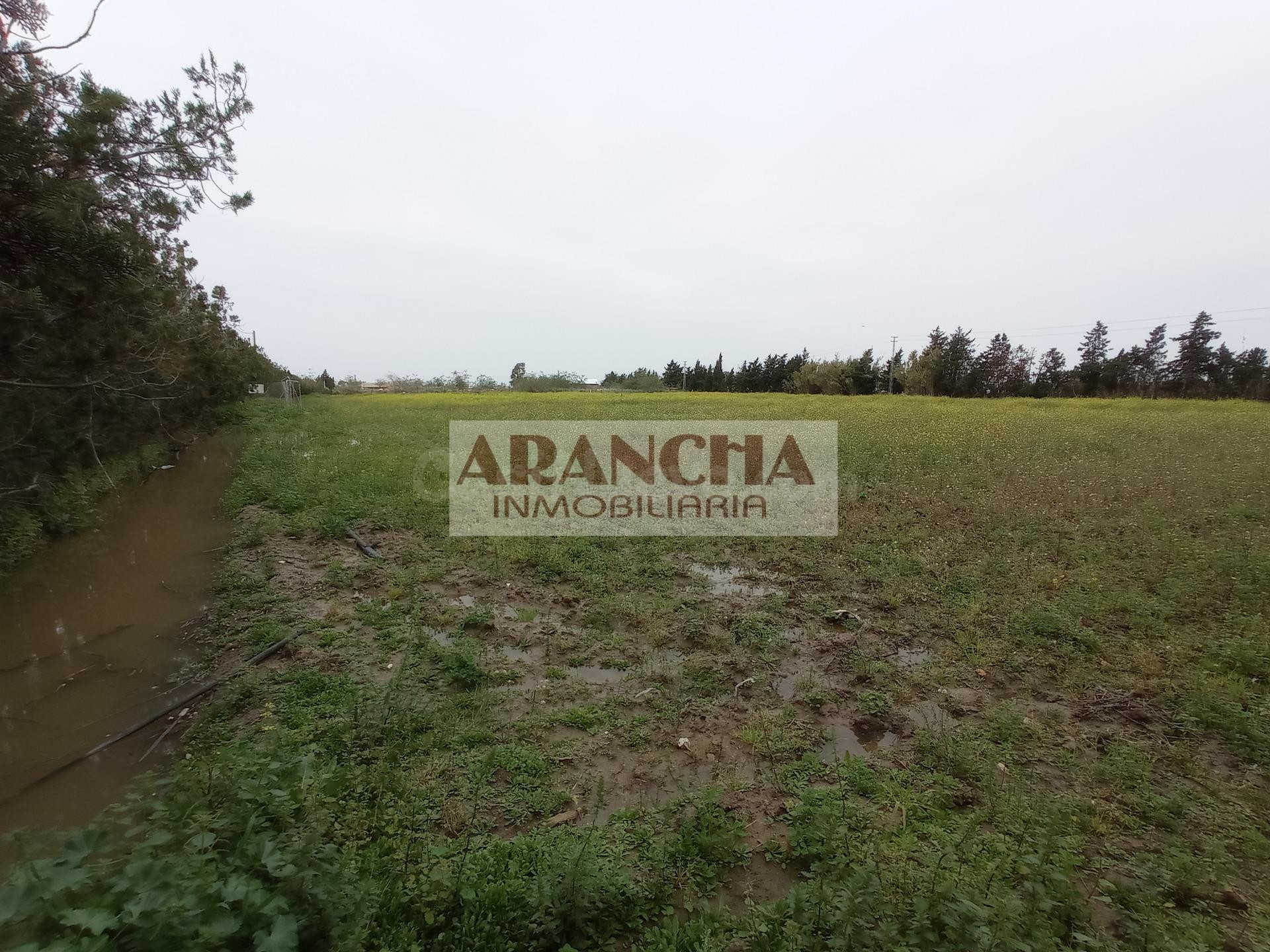 Parcela rústica de 5.000 m2 en venta, Chipiona - foto 4