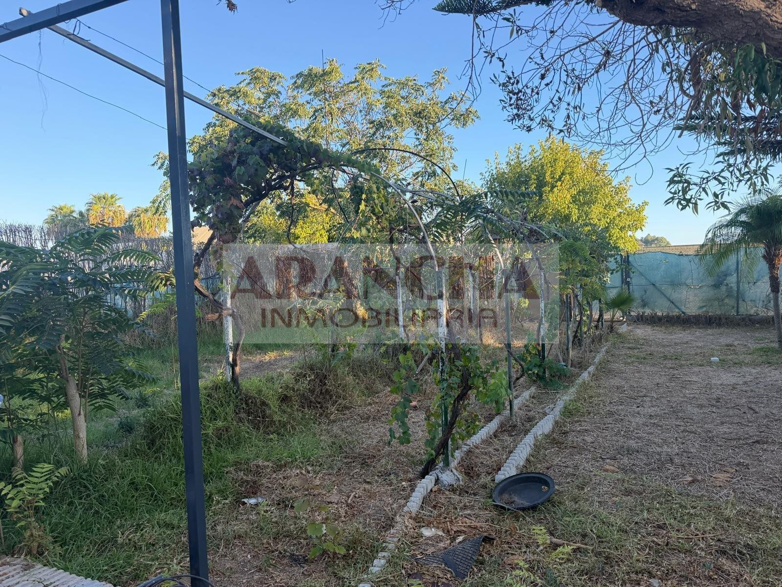 CASA DE CAMPO EN EL PINAR - foto 4